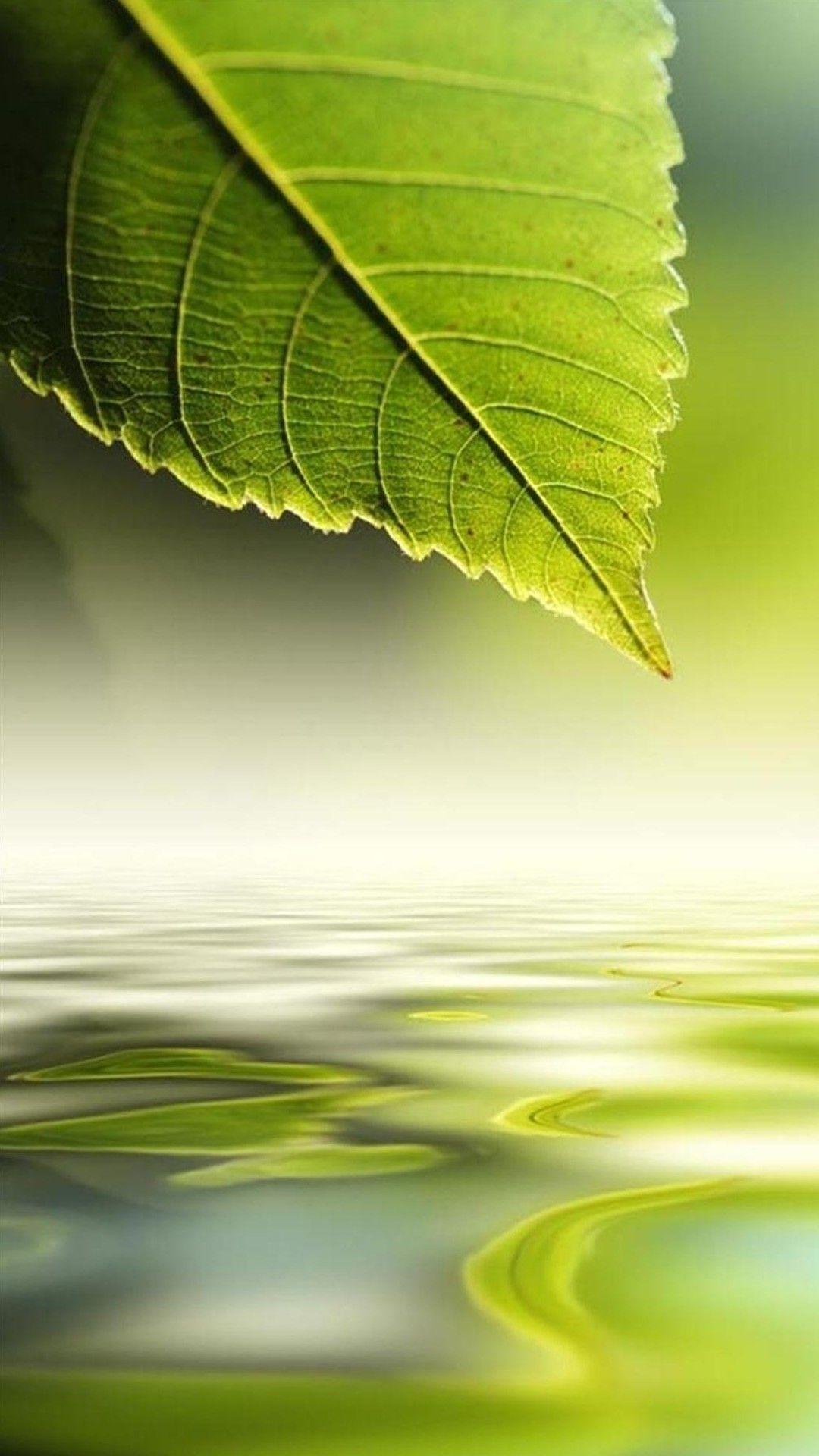 1080x1920 HD 1080x1920 iPhone 6 Plus Wallpaper Free Download