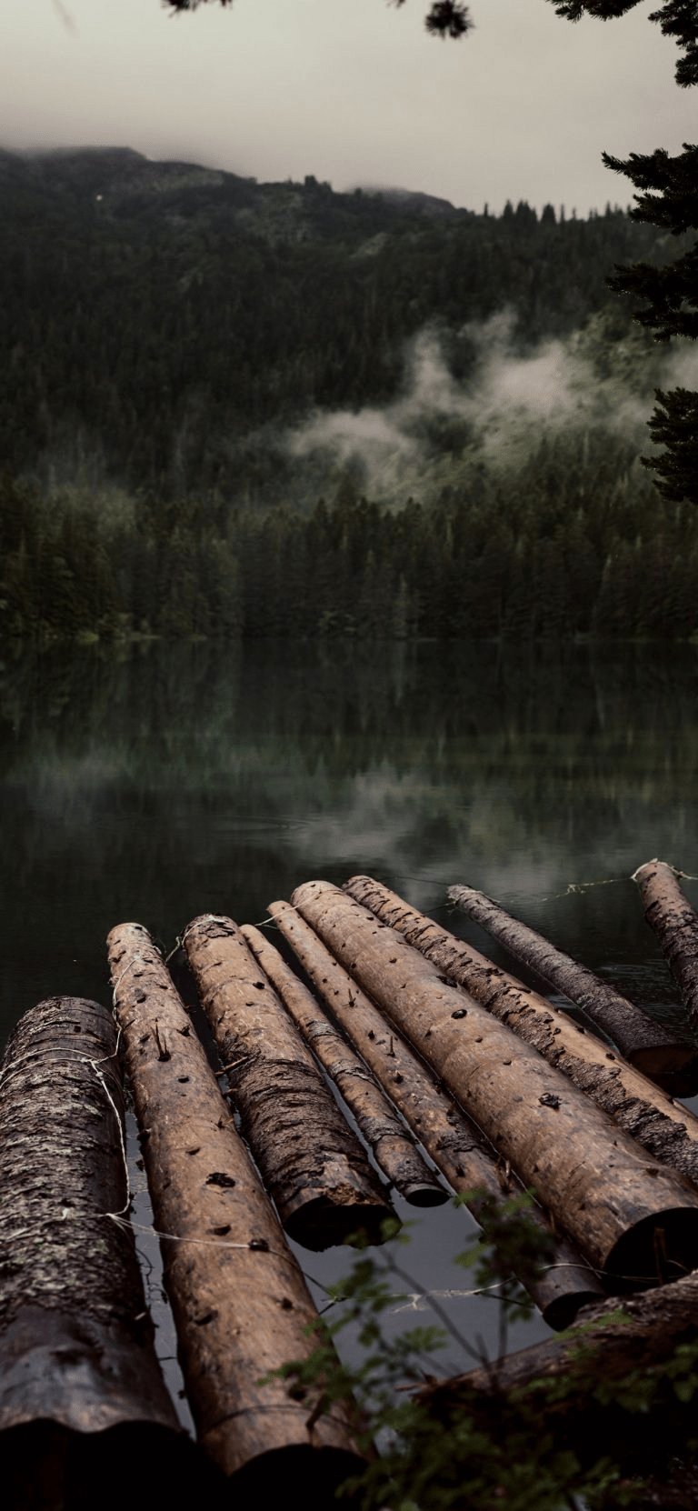768x1662 Calming iPhone Wallpaper To Relax Your Mind
