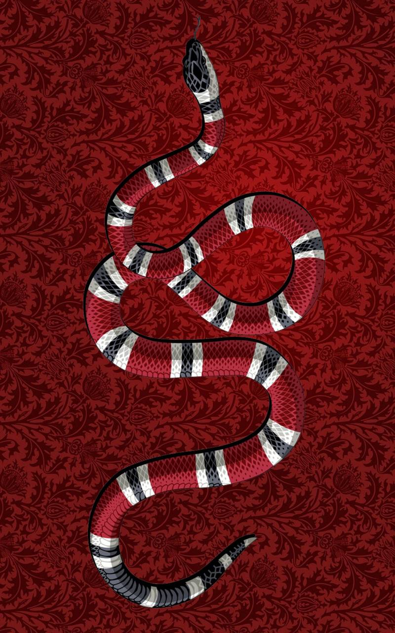 800x1280 21Gucci Snake wallpaper
