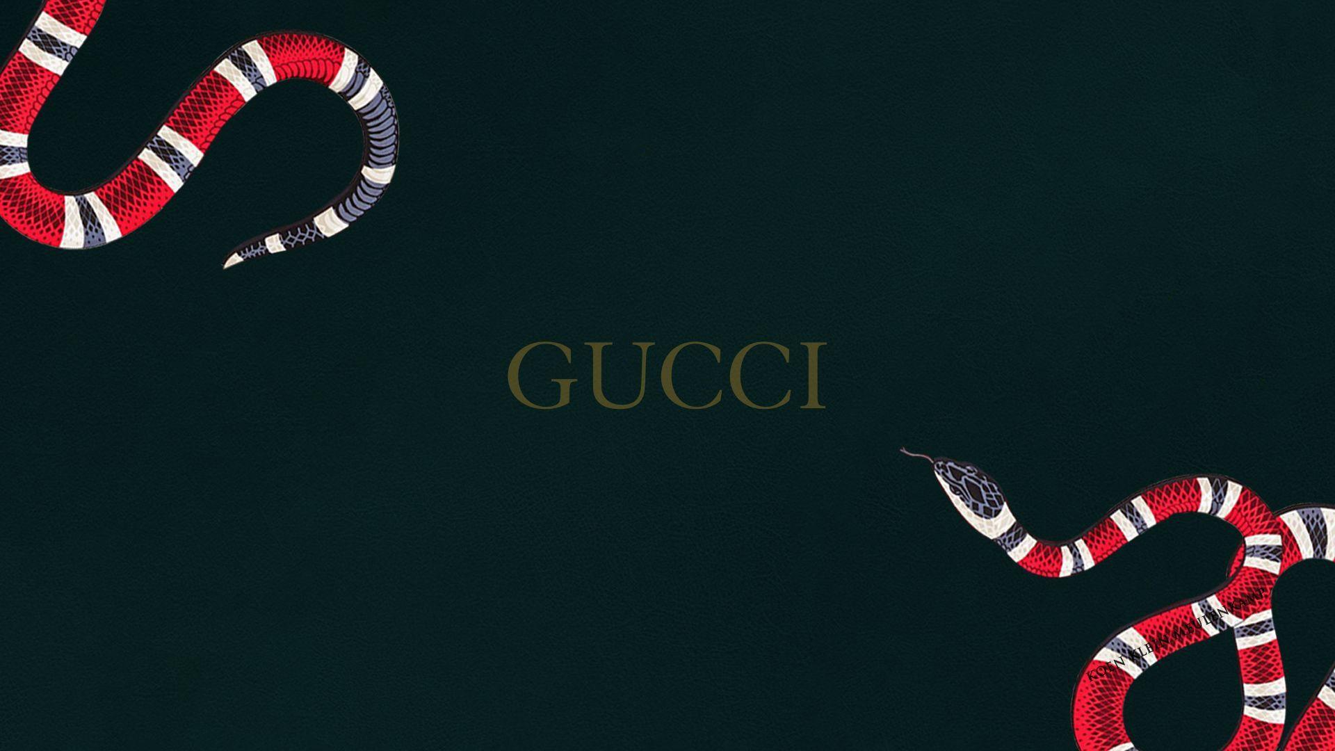 1920x1080 Gucci Word With Red Black Snake In Green Background HD Gucci Wallpaper