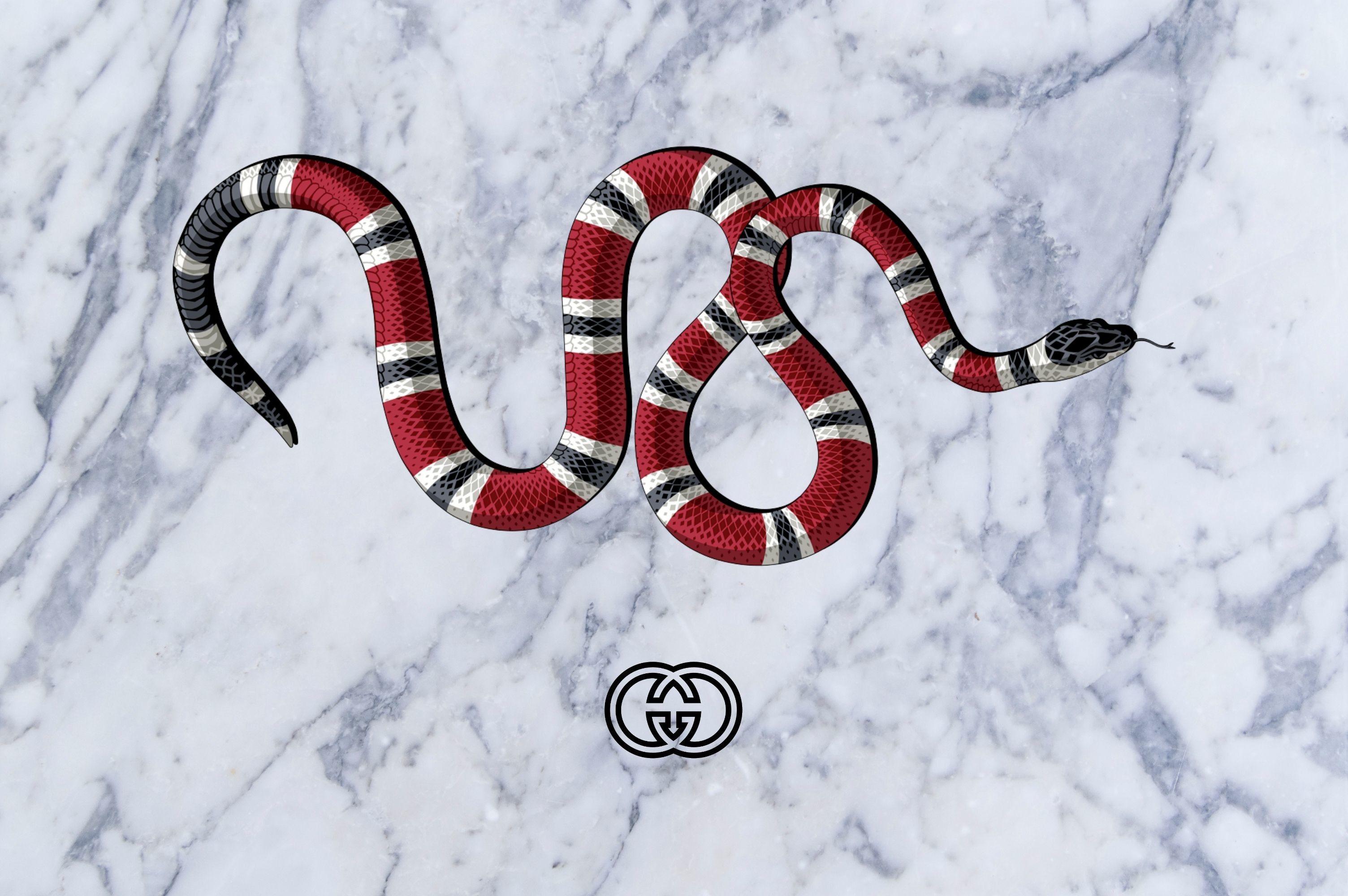 3008x2000 Snakes Wallpaper background picture