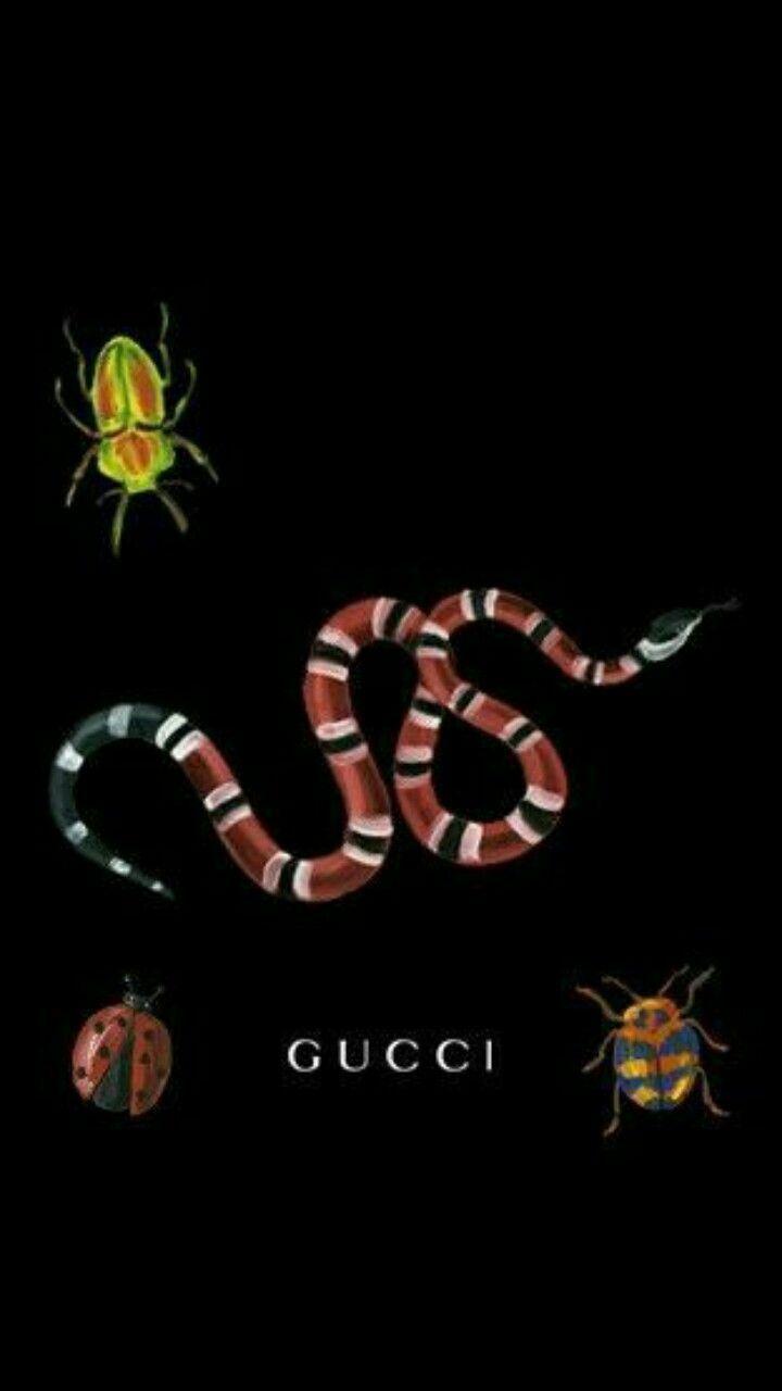 720x1280 Snakes on iPhone wallpaper [DOWNLOAD FREE]
