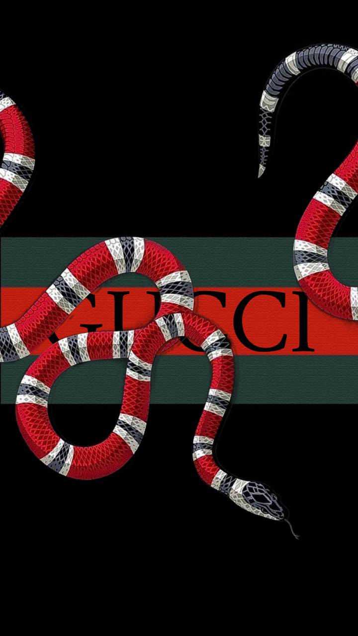 720x1280 Gucci Snake wallpaper