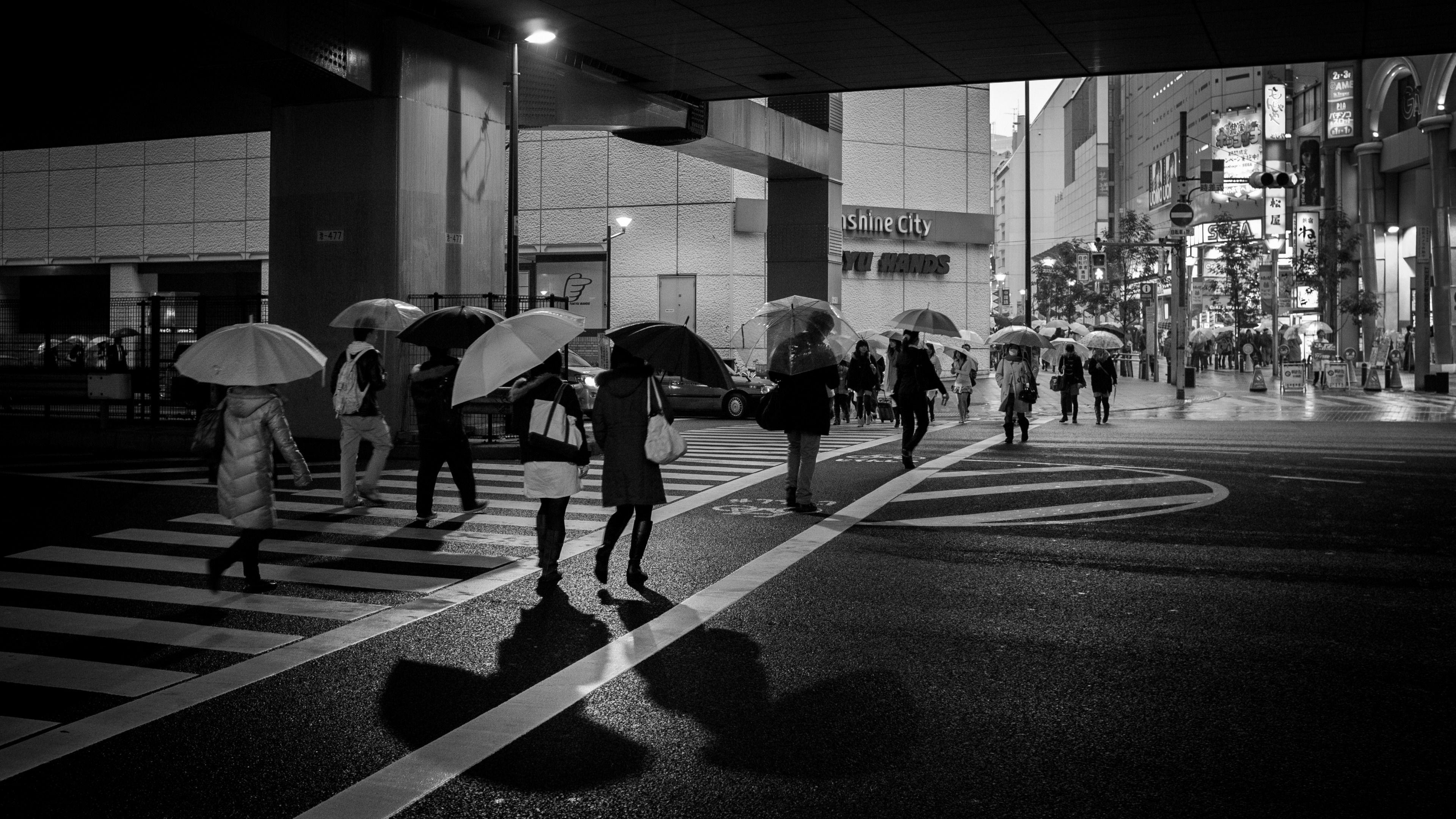 Japan Digital Rain Fall