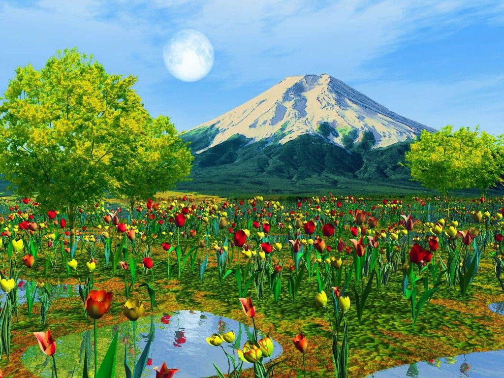 1024x768 Mountains: Tree Flowers Mountain Sun Floral Lake Snowy Summer