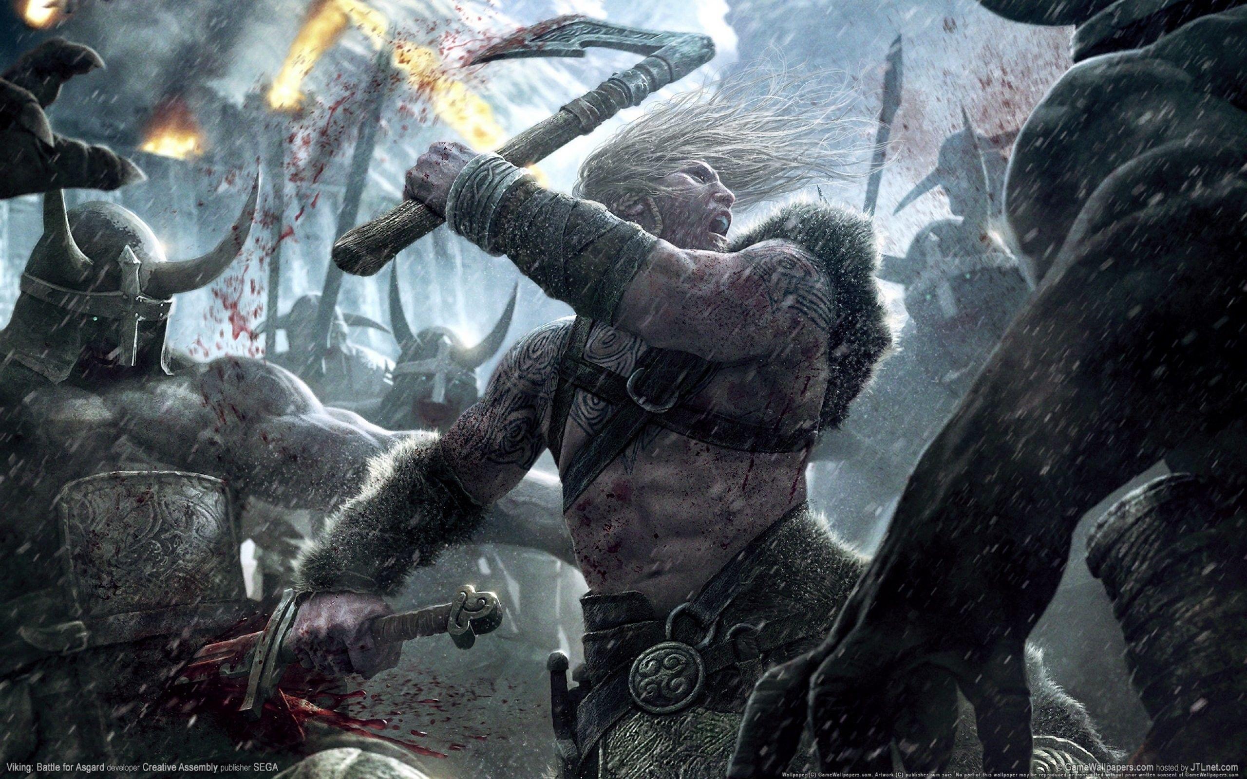 2560x1600 Viking Warrior