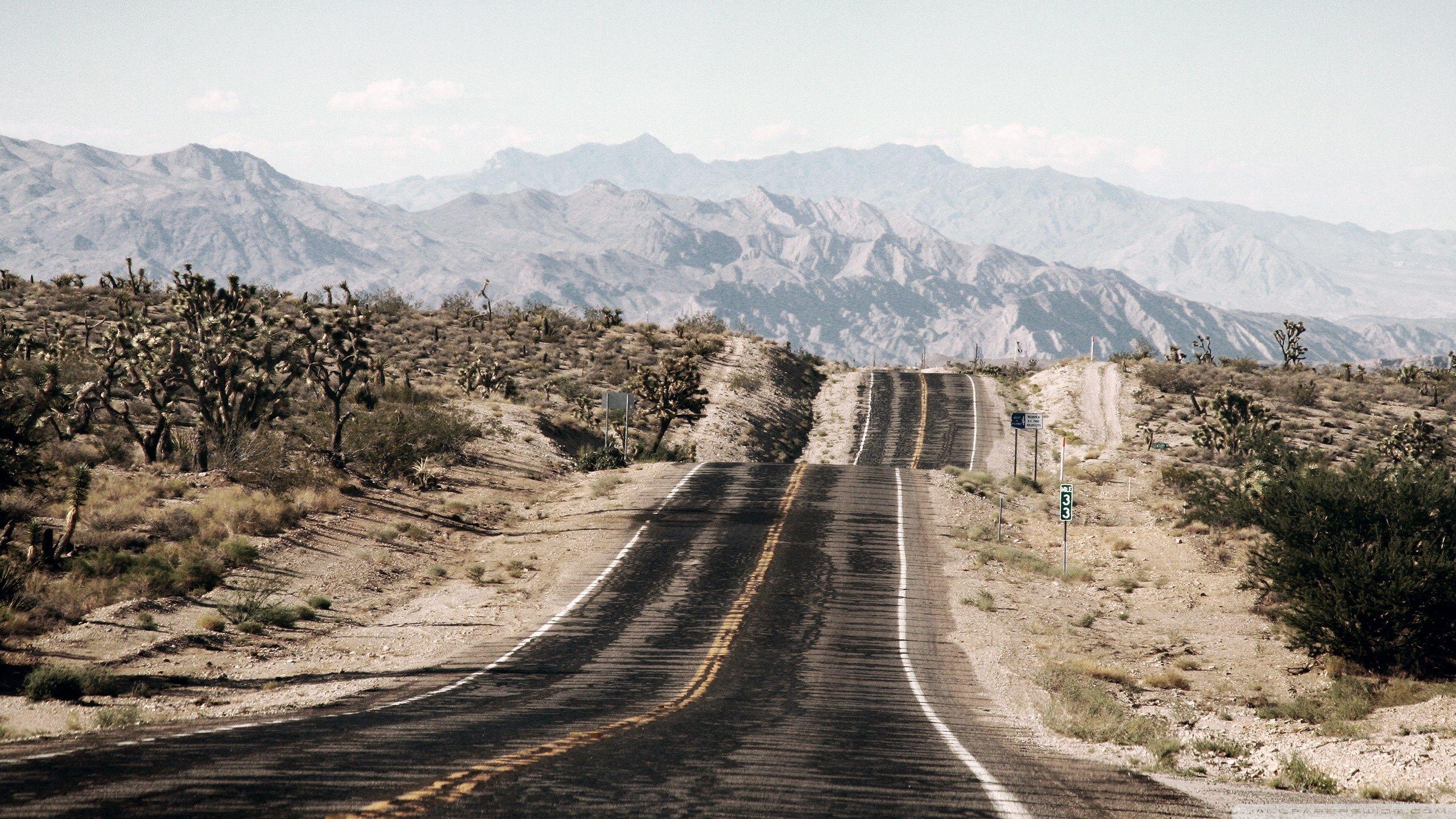 2560x1440 Desert Road Wallpaper