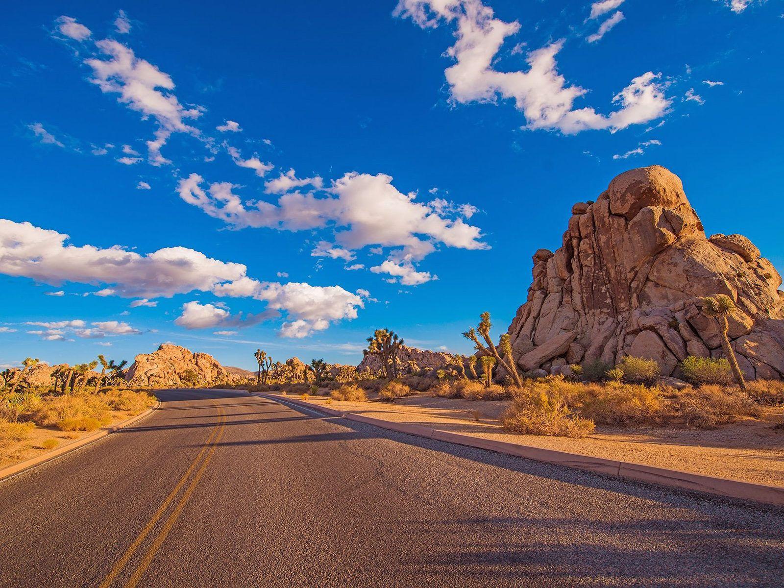 1600x1200 Desert Road Joshua Tree National Park Is A Protected Area In Southern California With Rugged Rock Formations And Stark Desert Landscapes California Usa HD Wallpaper 1920x1200 :