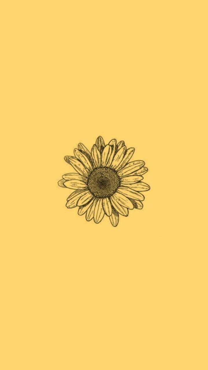 720x1280 Dog Aesthetic Sunflower Wallpaper