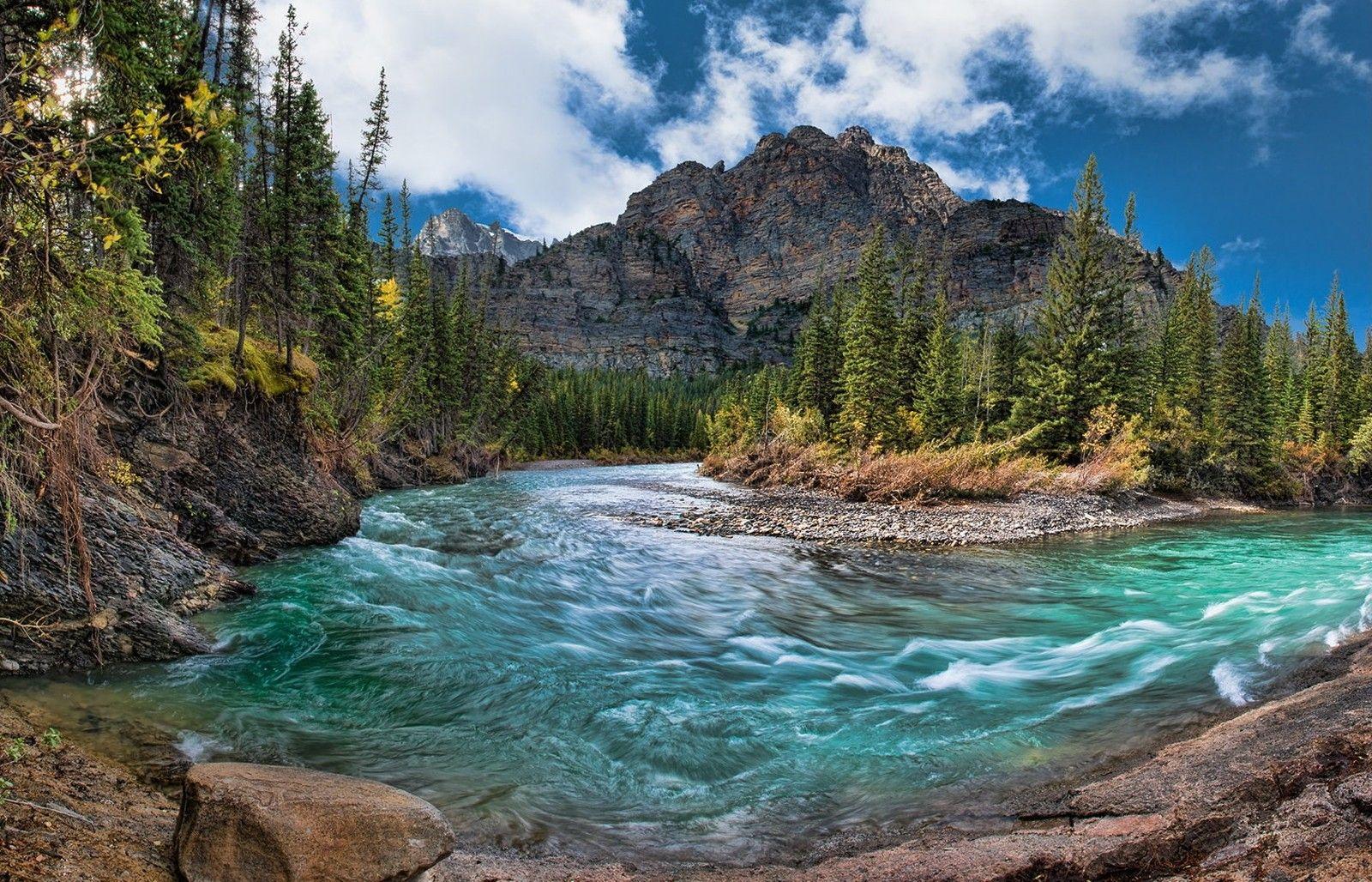 1600x1028 River: Mountain Creek Canada Forest River Banff National Park Water