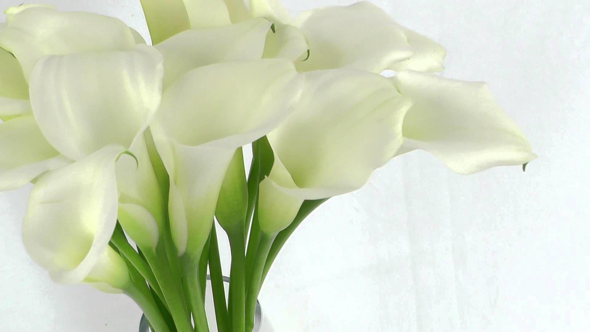 1920x1080 Wallpaper Lily Flower Image HD Design Interior