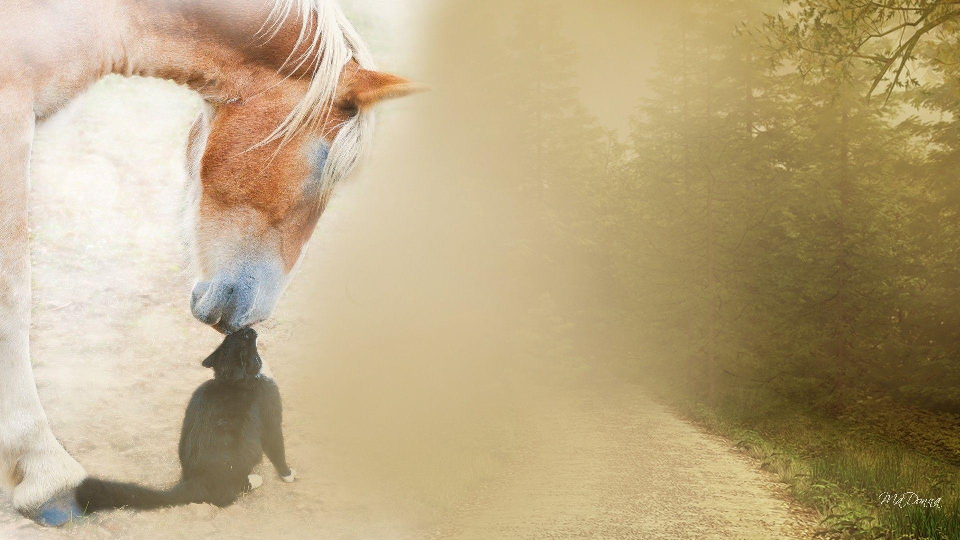 1920x1080 Beautiful Autumn Horses Wallpaper