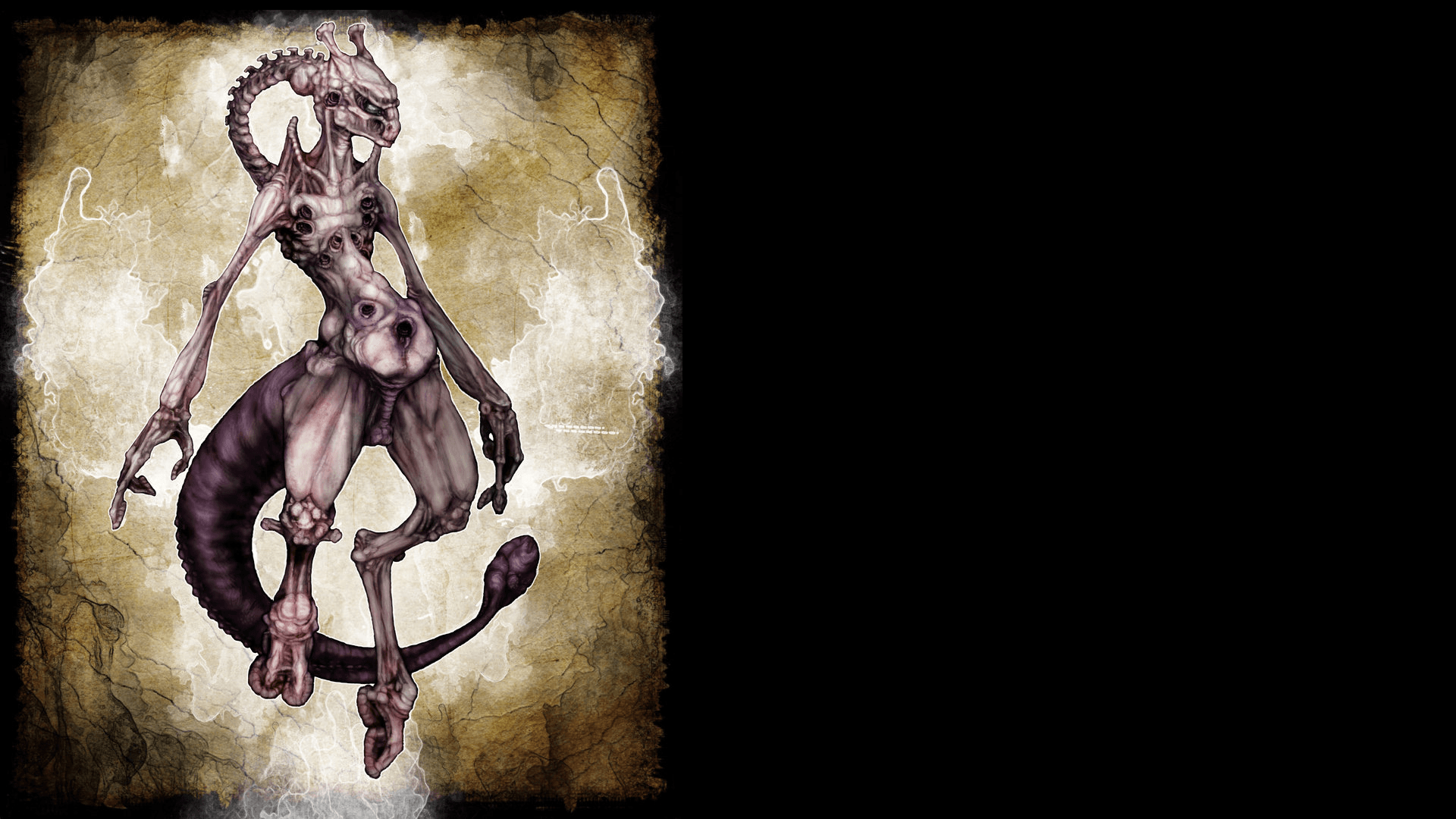 1920x1080 Mewtwo Wallpaper wallpaper Collections