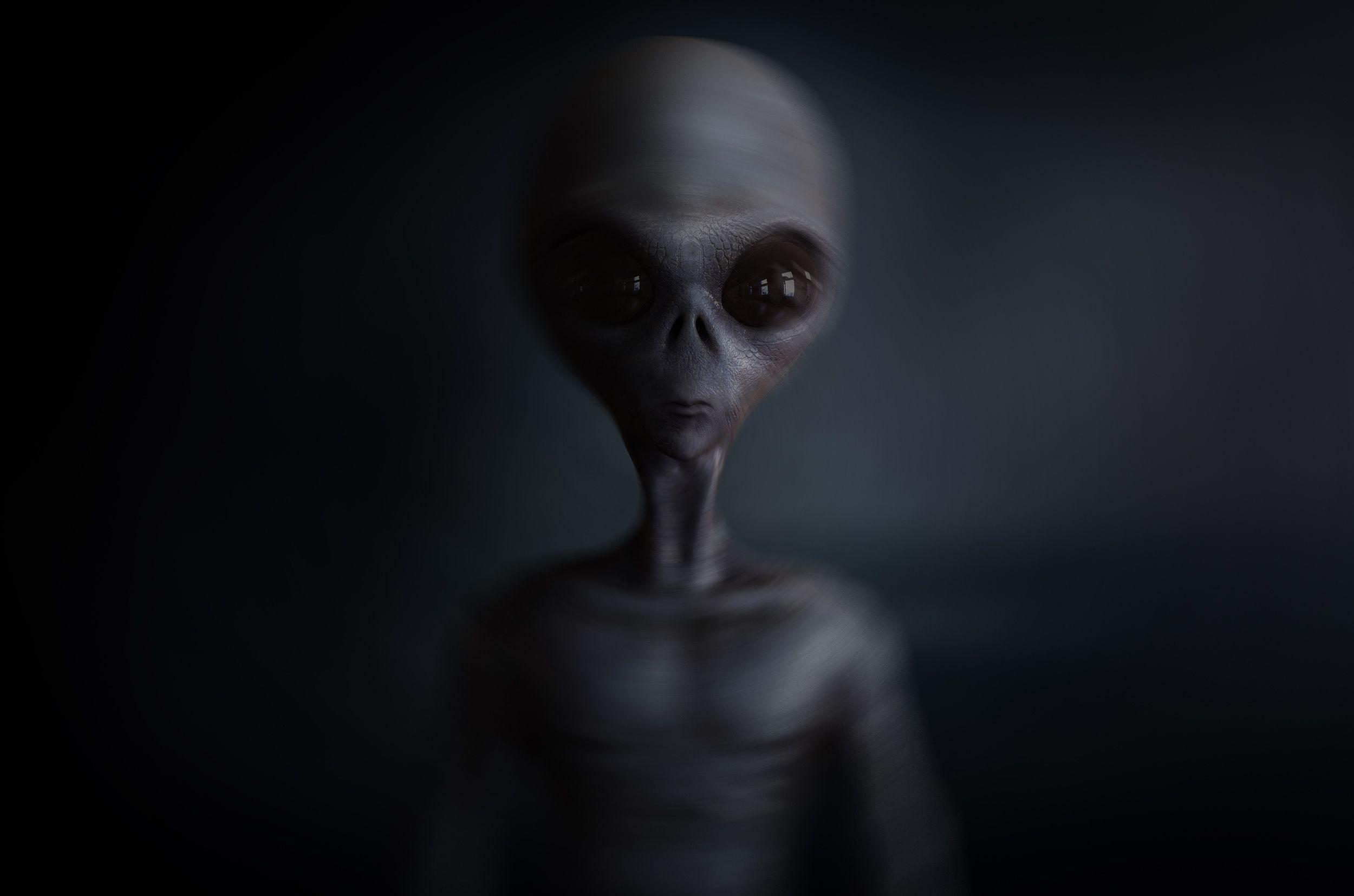 2500x1654 Grey Alien Wallpaper .