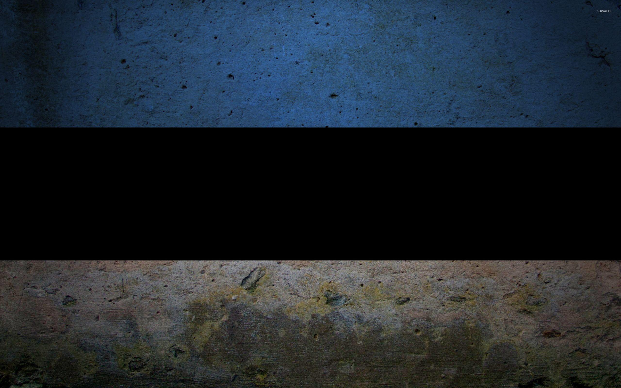 2560x1600 Flag of Estonia wallpaper Art wallpaper