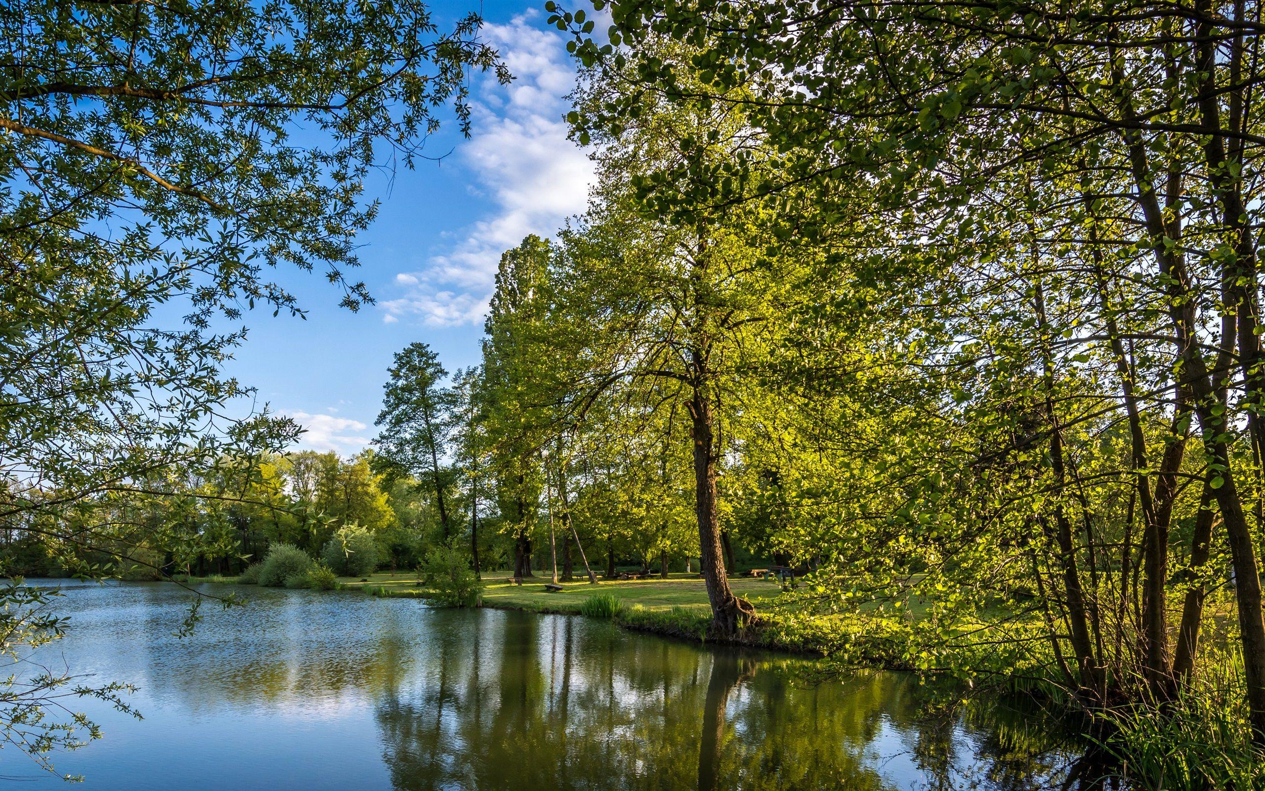 2560x1600 Wallpaper Croatia, Zagreb, trees, lake, park 3840x2160 UHD 4K Picture, Image