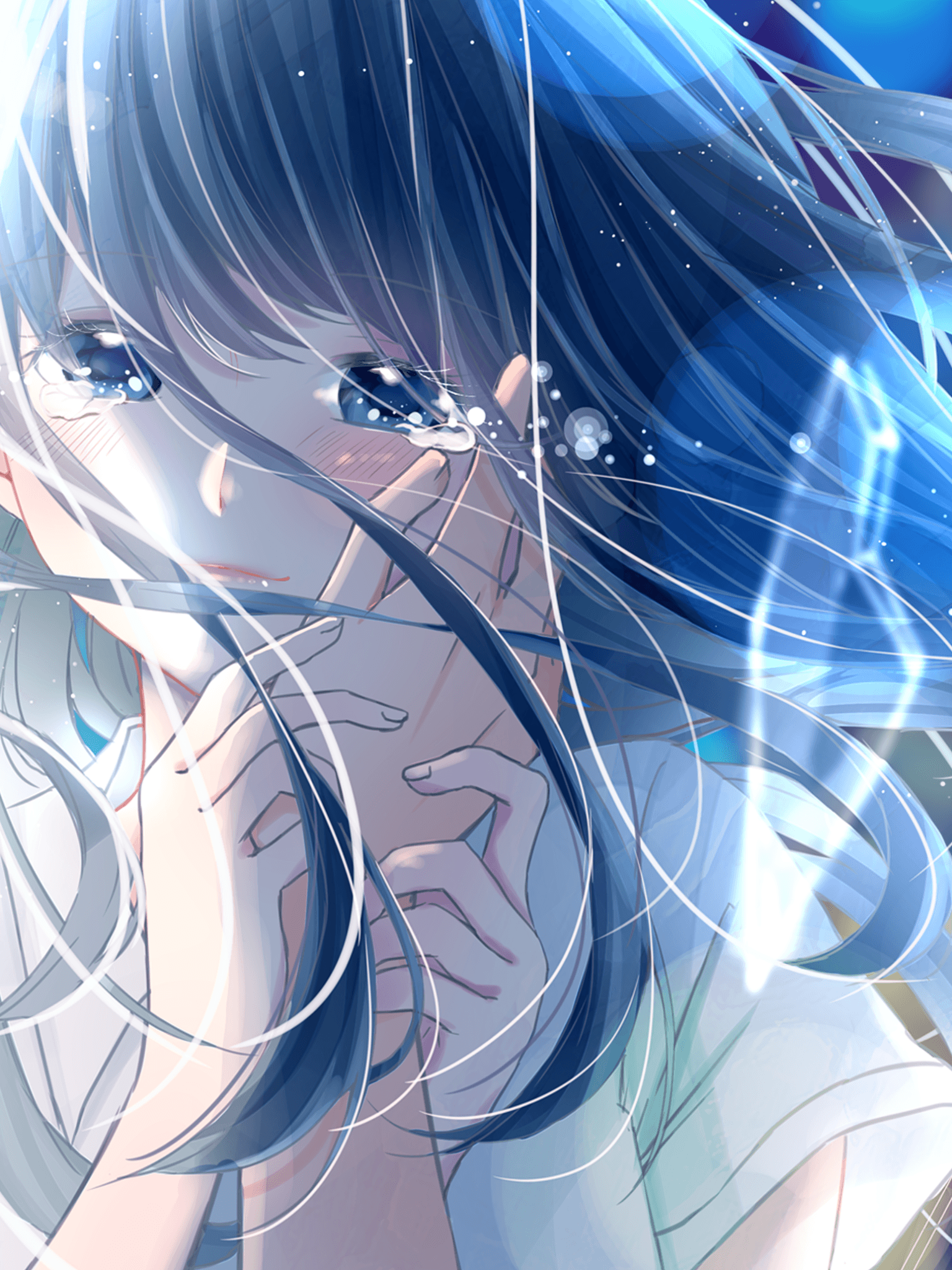 1536x2048 Web Pixer
