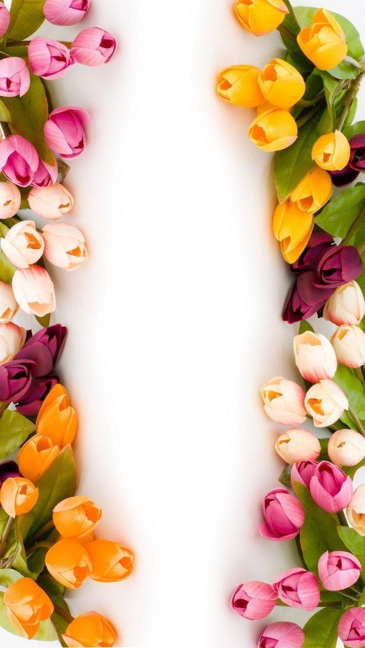 736x1308 Tulip Flowers Wallpaper iPhone # Tulip Flowers Wallpaper iPhone # The post Tulip Flowers Wa. Flower iphone wallpaper, Flower phone wallpaper, Spring wallpaper