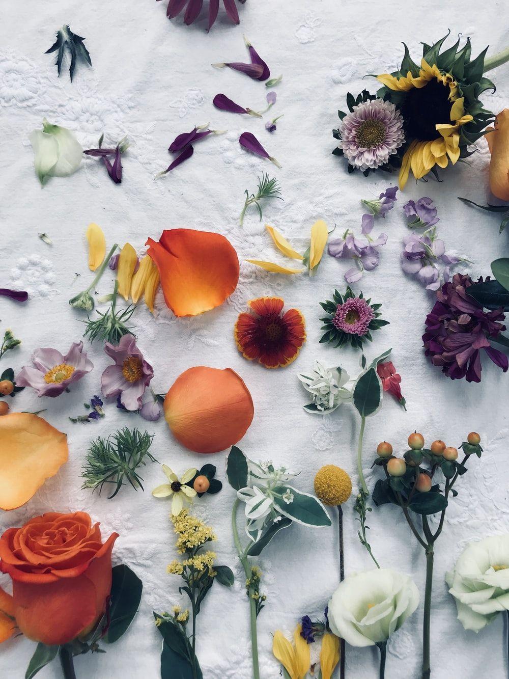 1000x1333 Floral Wallpaper: Free HD Download [HQ]