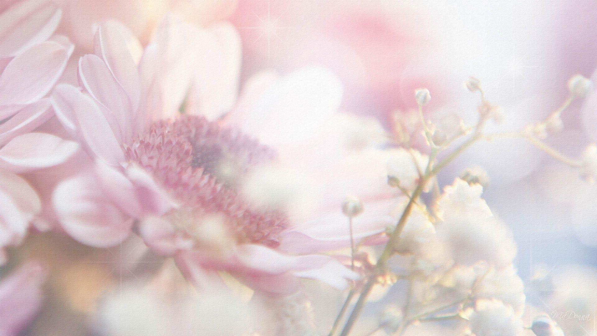 1920x1080 Pale Pink Floral Background .