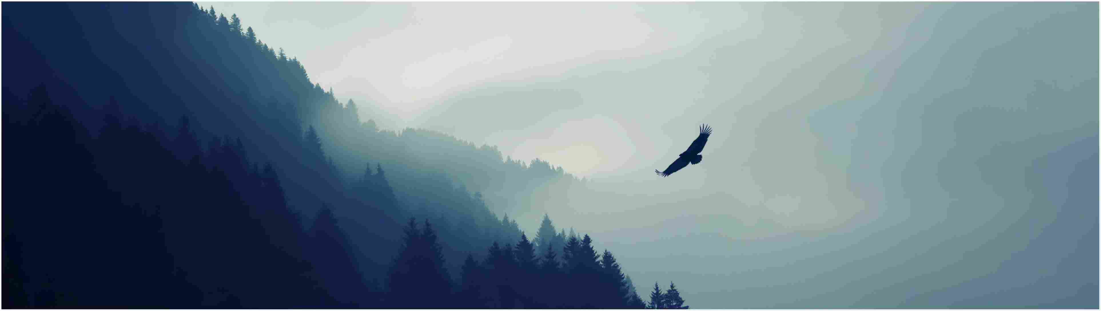 3851x1091 4k Dual Monitor Wallpaper