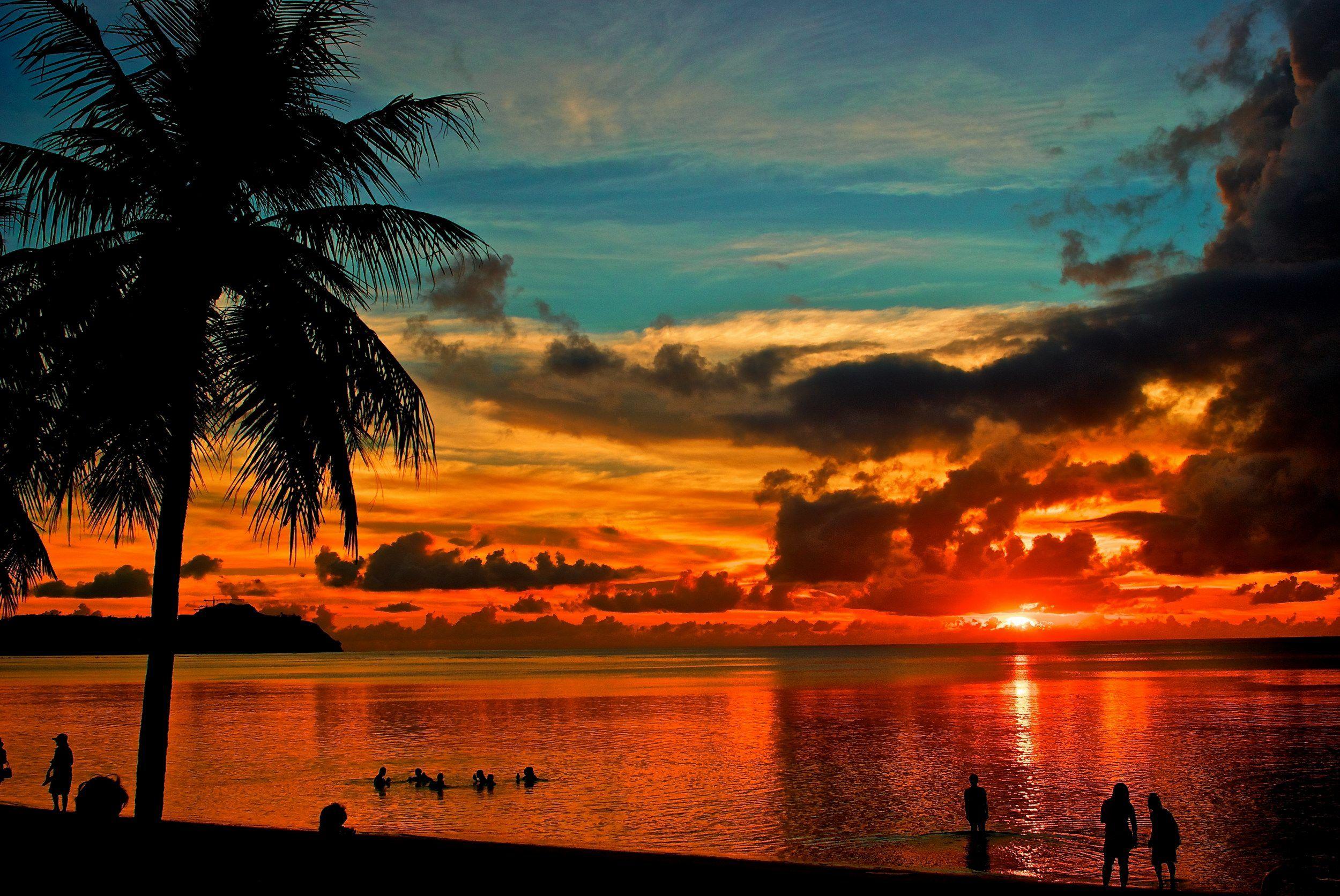 2500x1673 Computer Palm Trees Wallpaper, Desktop Background 2500x1673px Id