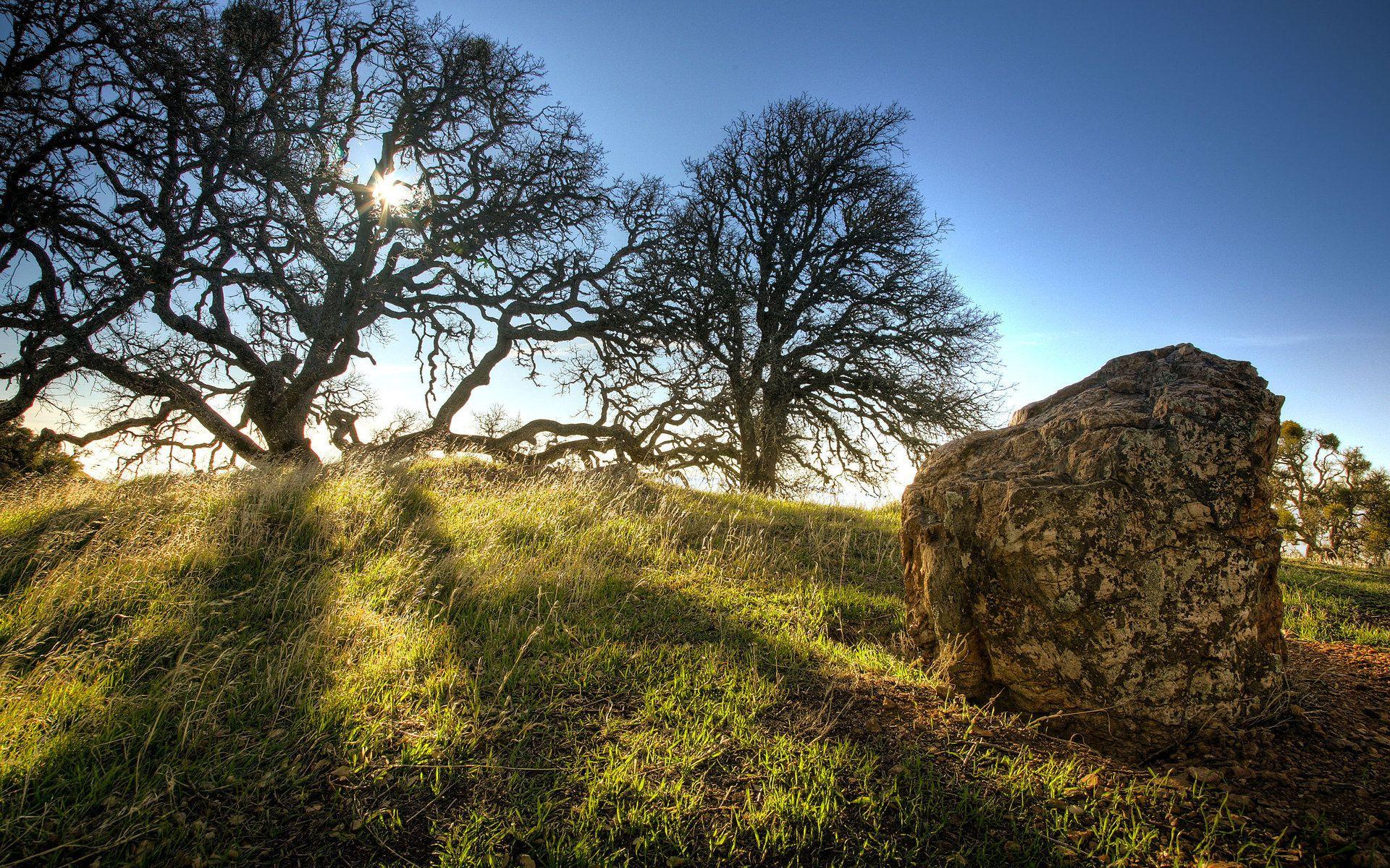 1920x1200 Pagan Wallpaper, 100% Quality Pagan HD Image #NHM 100% Quality