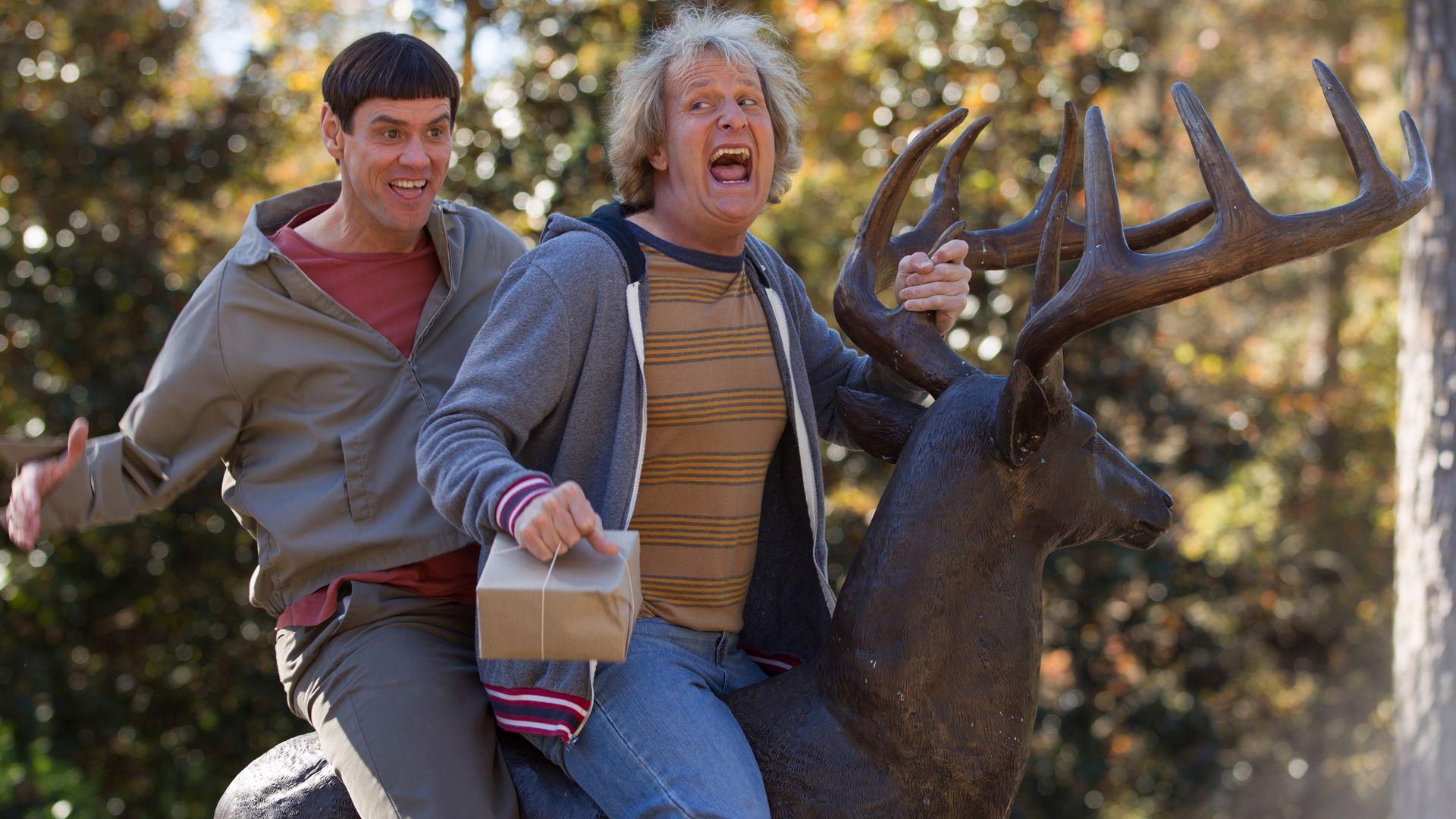 Dumb and Dumber HD Wallpapers - Top Free Dumb and Dumber HD Backgrounds