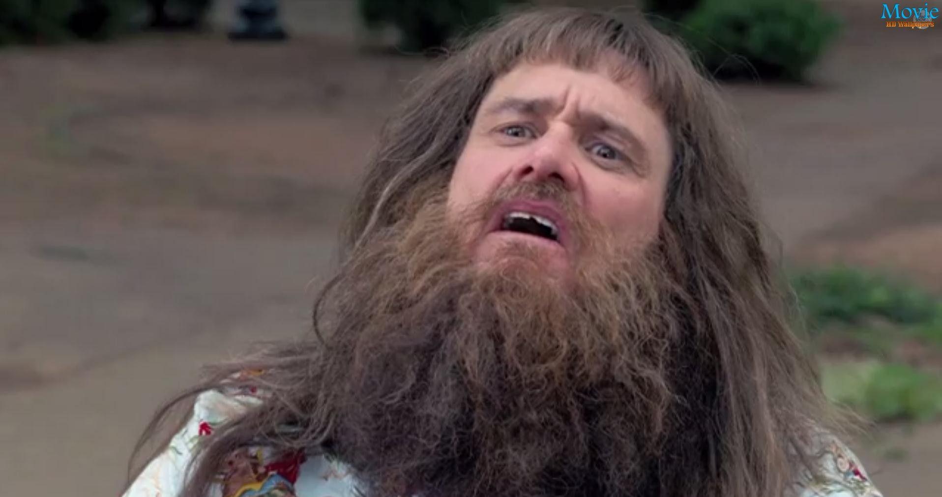 1916x1011 Free download Dumb and Dumber To Movie HD Wallpaper [1916x1011] for your Desktop, Mobile & Tablet. Explore Dumb and Dumber Wallpaper. Dumb Wallpaper