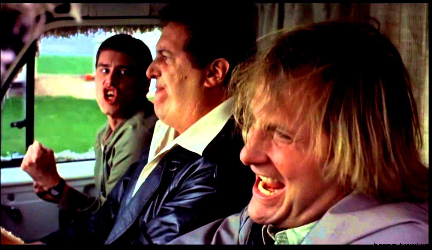 1446x837 Dumb And Dumber Wallpaper