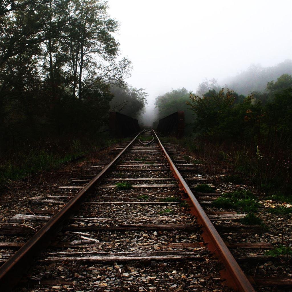1024x1024 Trees Railroad Tracks iPad Air Wallpaper Free Download