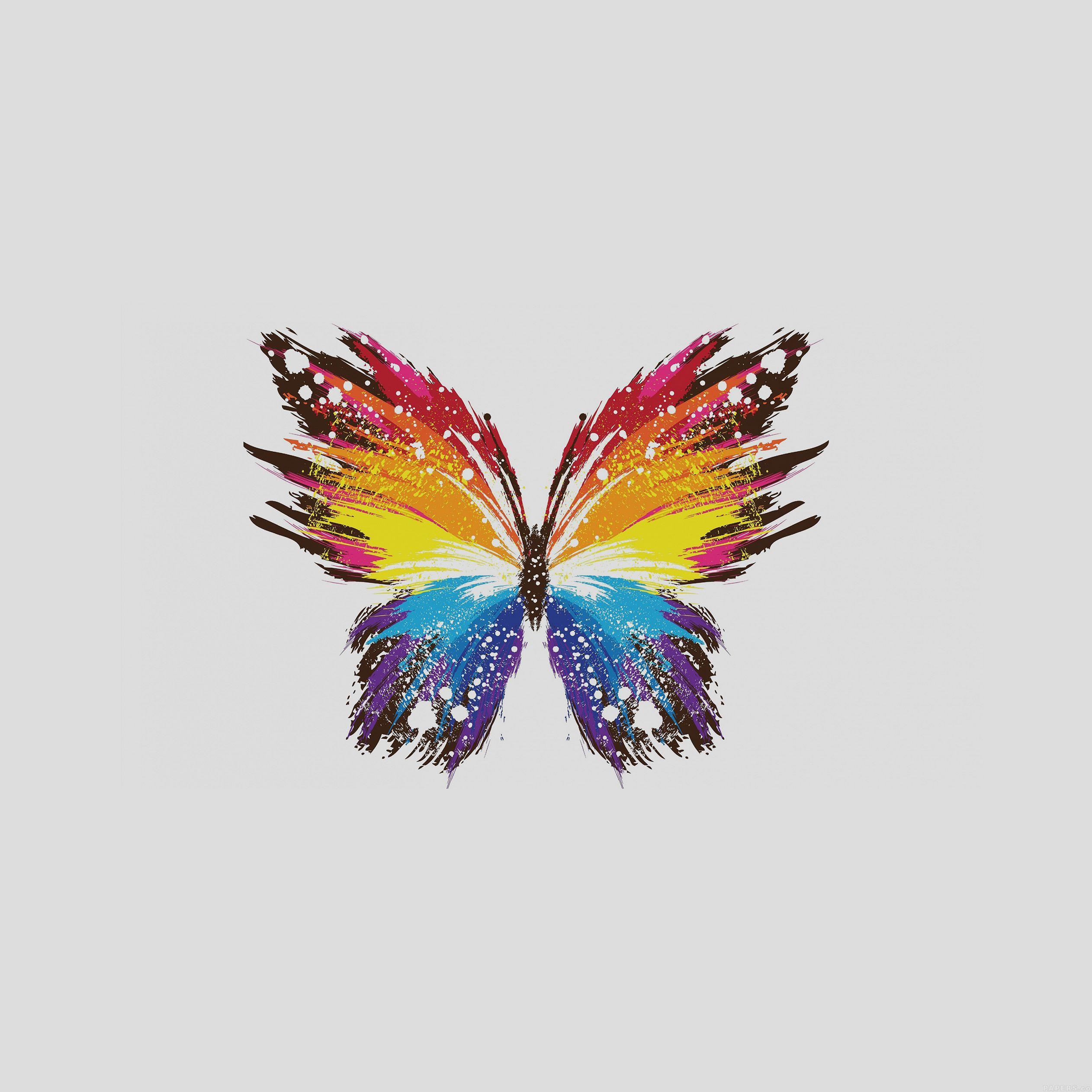 2524x2524 Illustrated animal kingdom wallpaper for iPad and iPhone