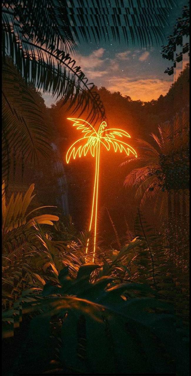 Neon Palm Tree Wallpapers Top Free Neon Palm Tree Bac - vrogue.co