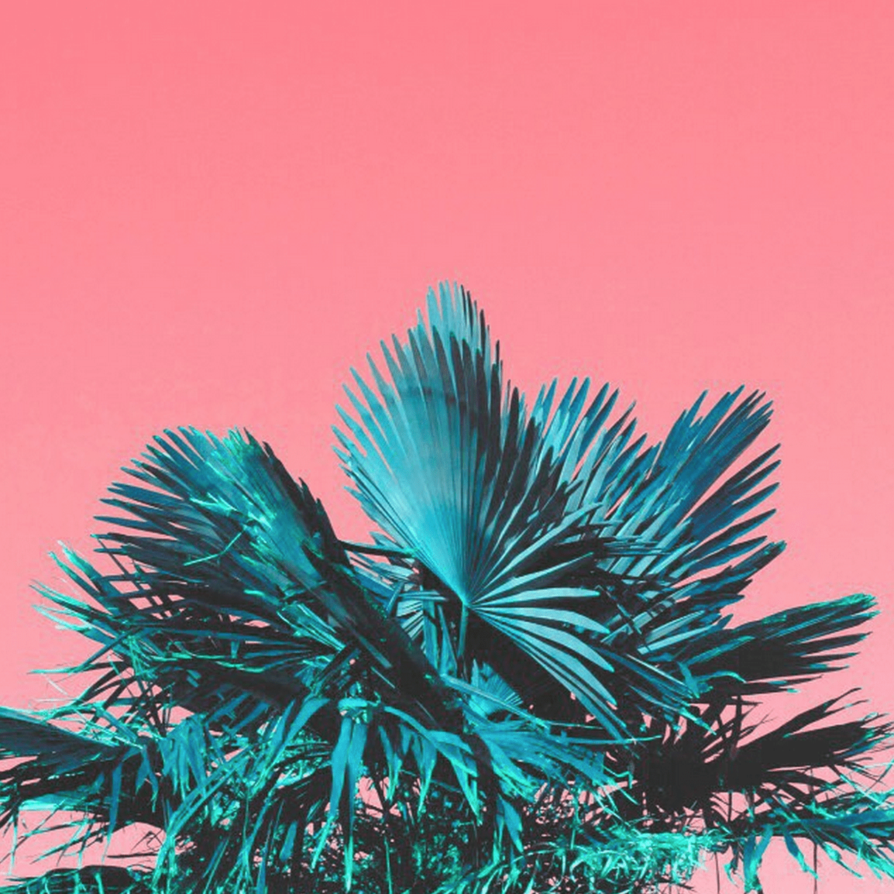 1268x1268 How 20 Successful Creatives Unwind & Recharge. Wallpaper, Art, iPhone wallpaper