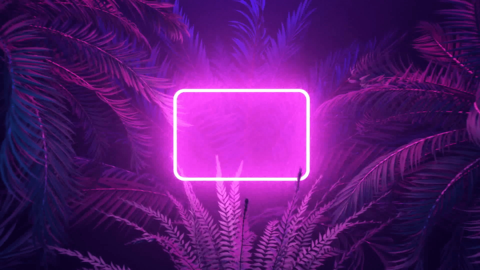 Neon Palm Tree Wallpaper 4K