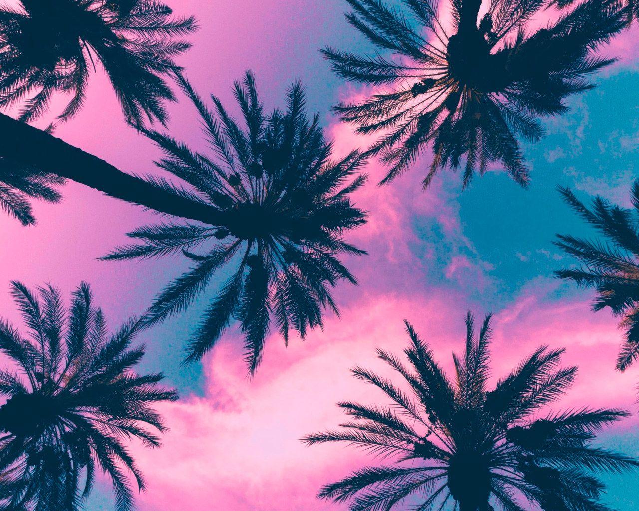 Neon Palm Tree Wallpaper 4K