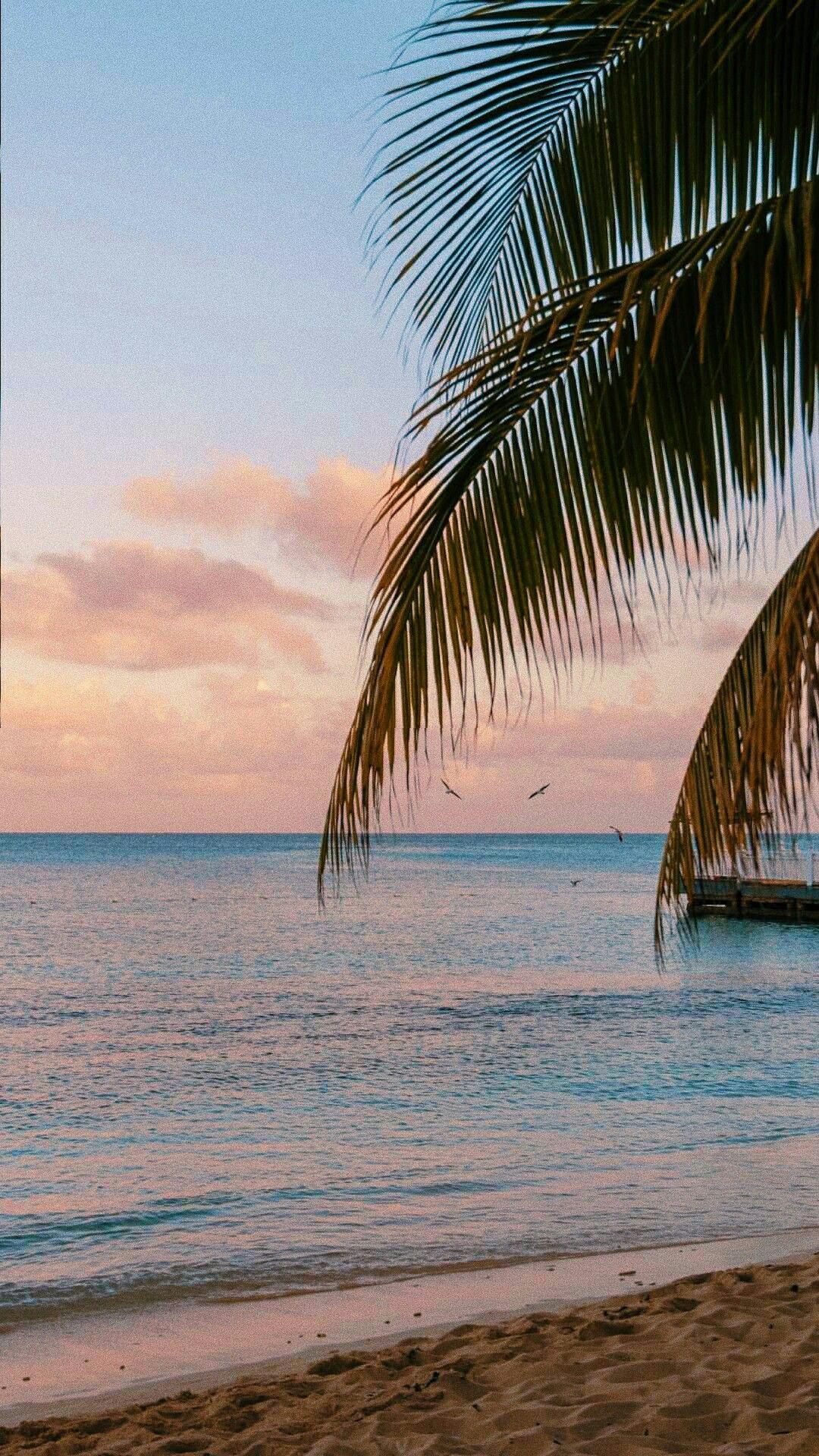 1080x1920 pink #color #colorful #pastel #aesthetic #wallpaper #pretty #sweet #background #sea #hawaii. Beach wallpaper, Aesthetic wallpaper, Nature photography