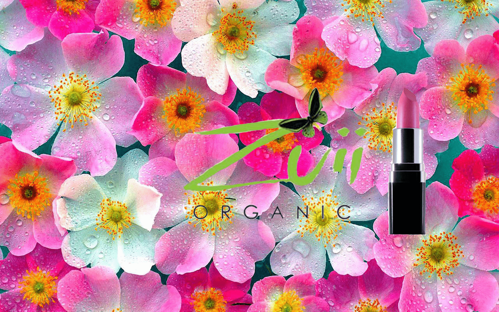 1600x1000 Zuii Organic is certified organic and has now arrived on Park Avenue! Find it at Nature in Beauty. HD flower wallpaper, Flower wallpaper, Pink flowers wallpaper