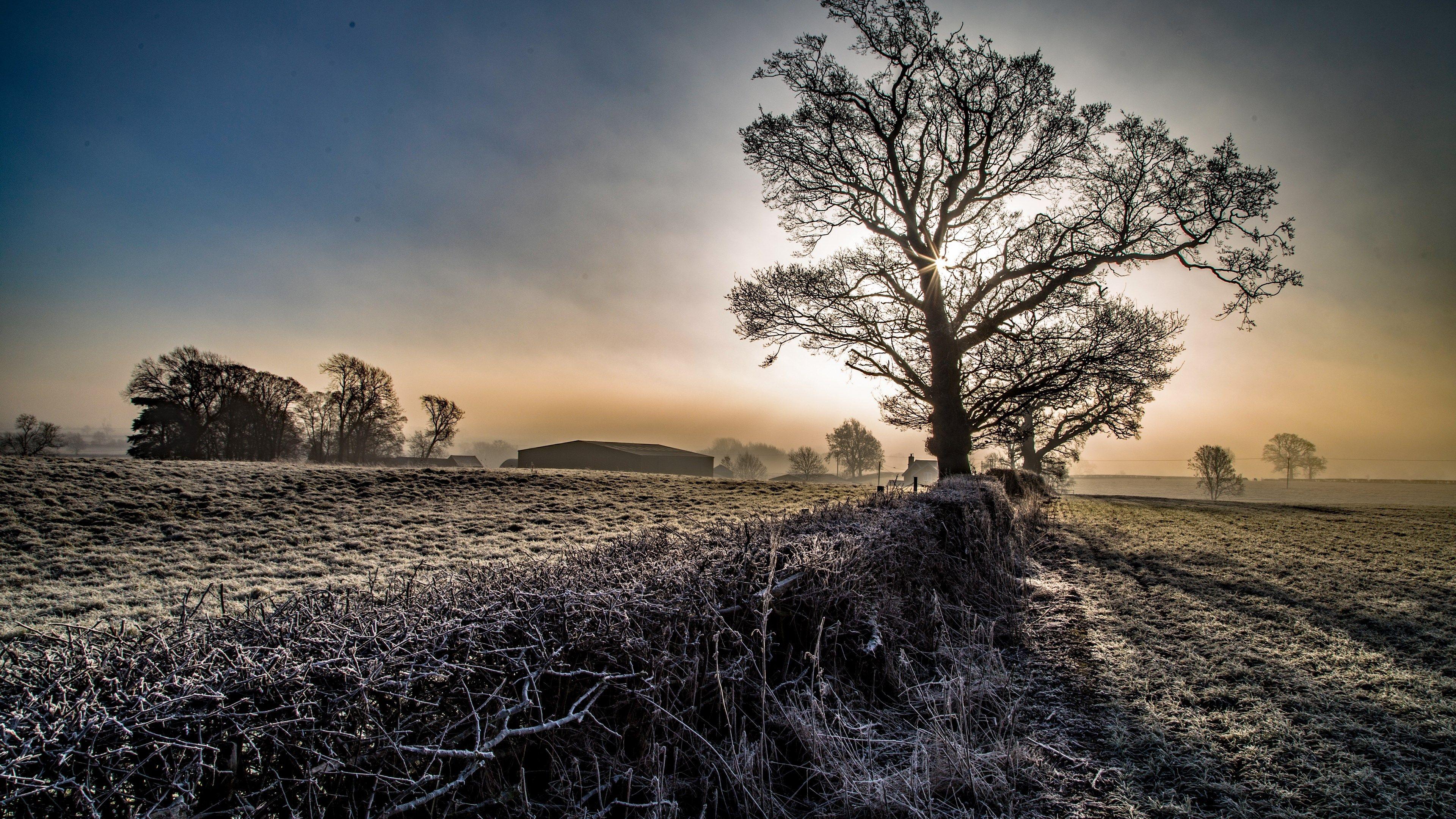 3840x2160 4k latest high resolution wallpaper (3840x2160). Winter picture, High resolution wallpaper, Tree wallpaper
