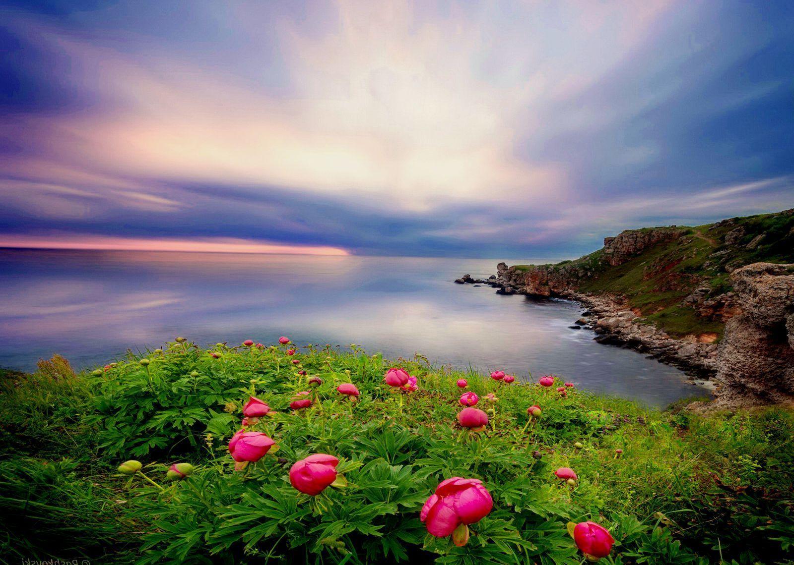 1600x1140 Organic Photo, Amazing Nature Wallpaper, iPhone Desktop Image