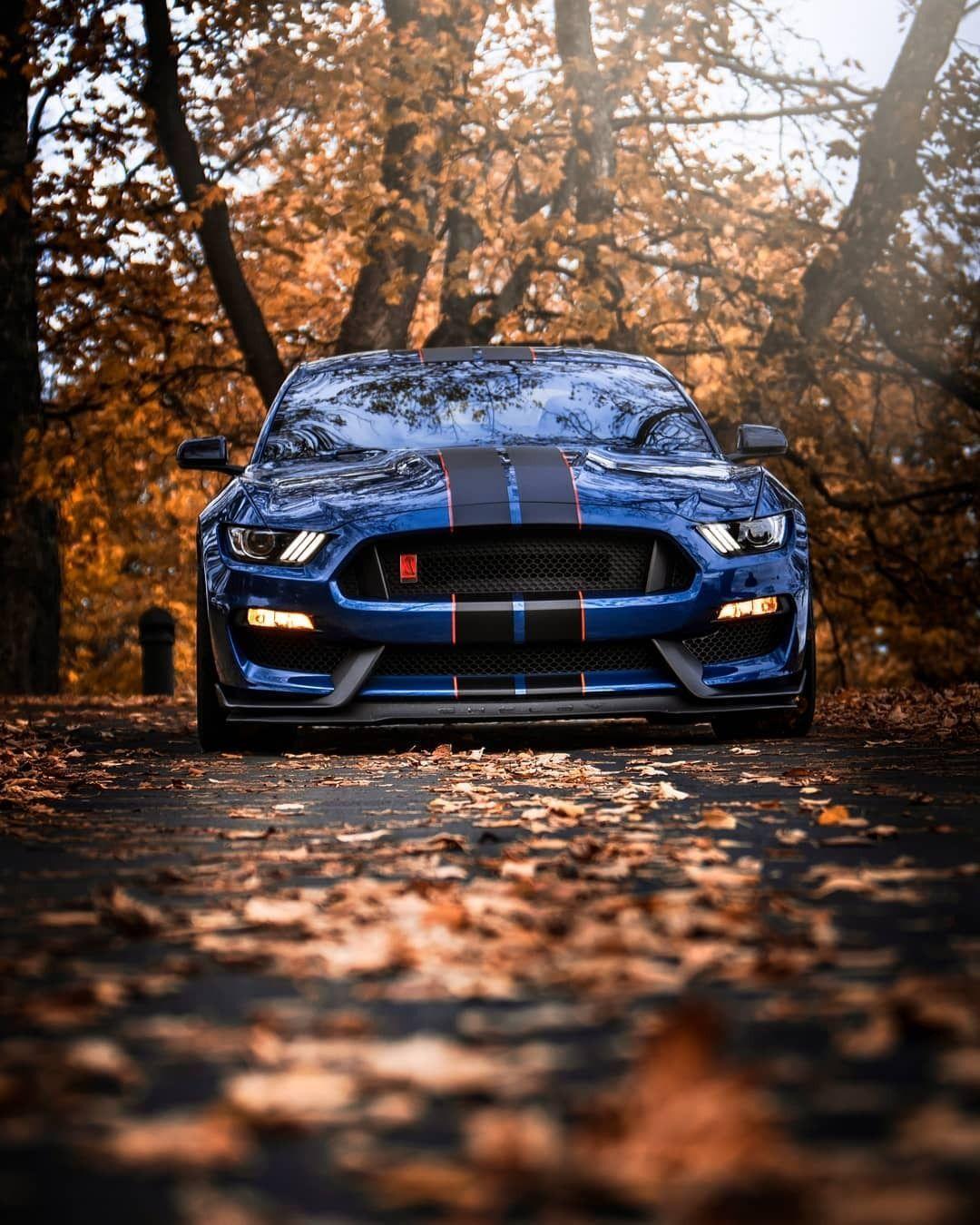 1080x1350 Cobra season. Ford Mustang Shelby GT350R. Mustang gt Ford mustang shelby, Mustang shelby