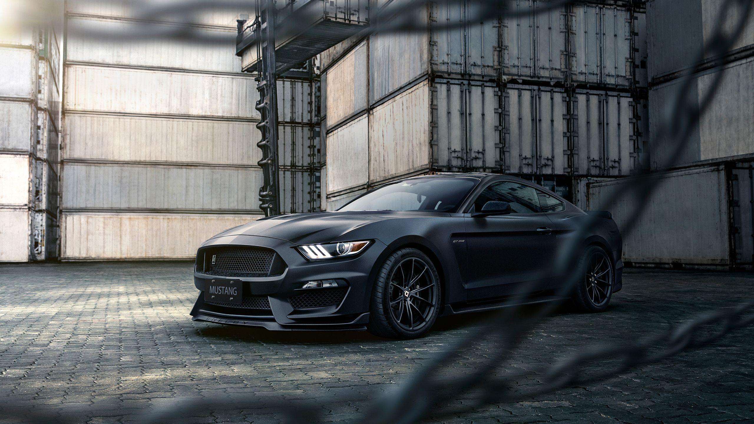 2560x1440 Ford Mustang Shelby GT350 3 Wallpaper. HD Car Wallpaper