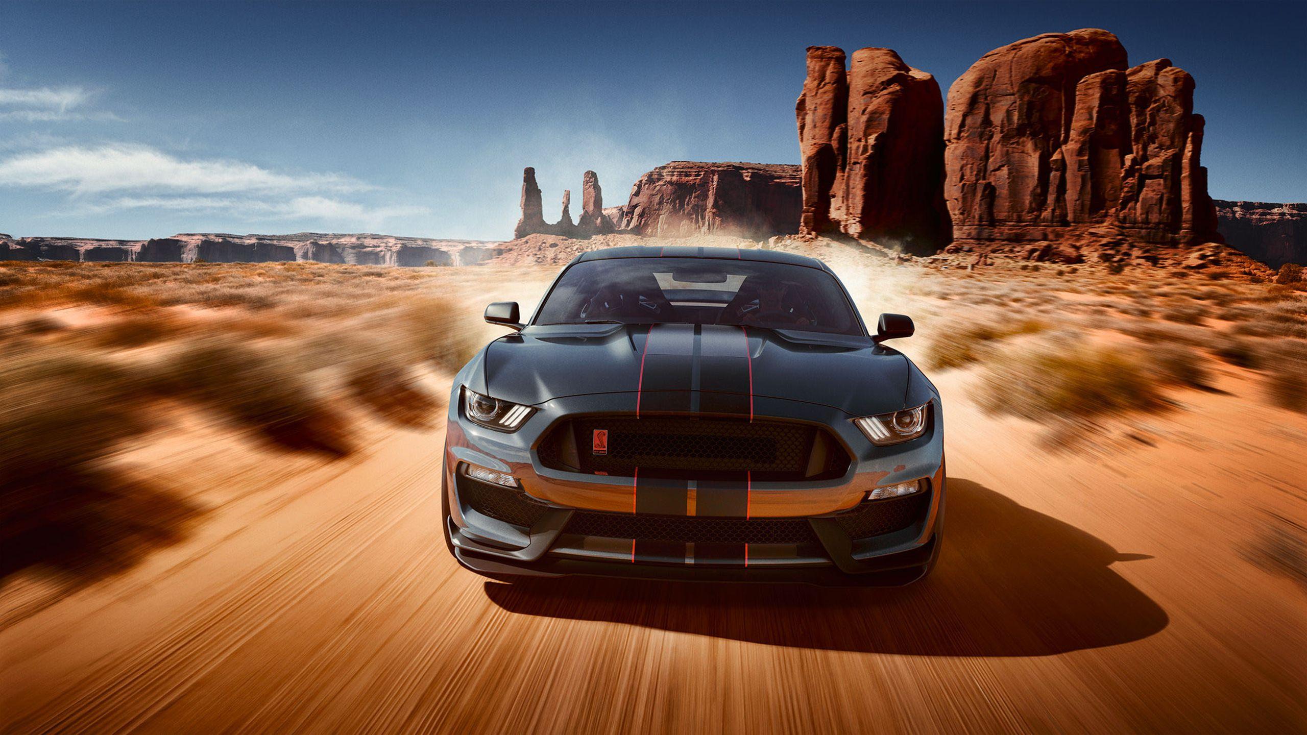 2560x1440 Ford Mustang Shelby Gt350 Wallpaper