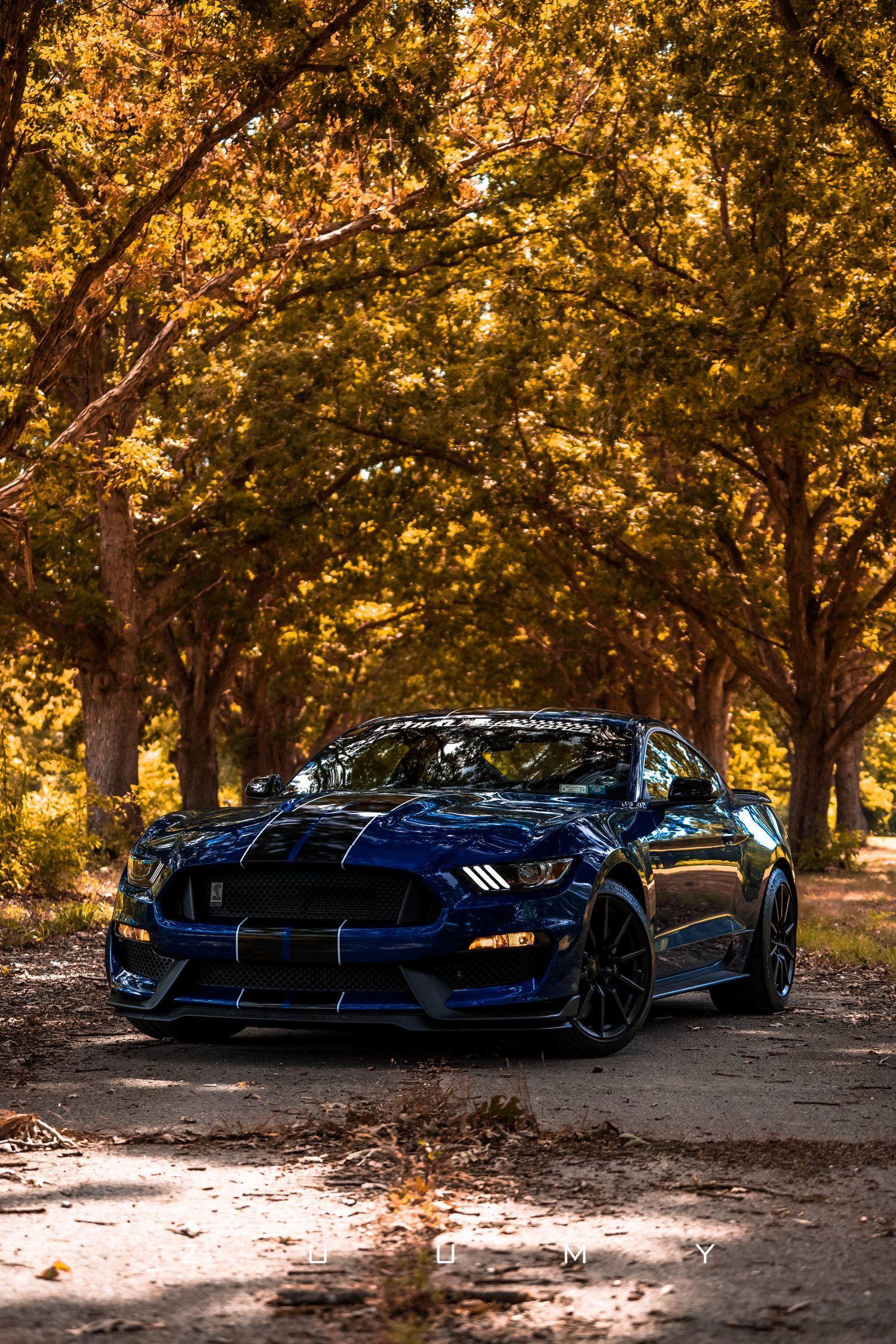 1500x2250 DSC04674- Street racing cars, Black mustang gt, Custom muscle cars