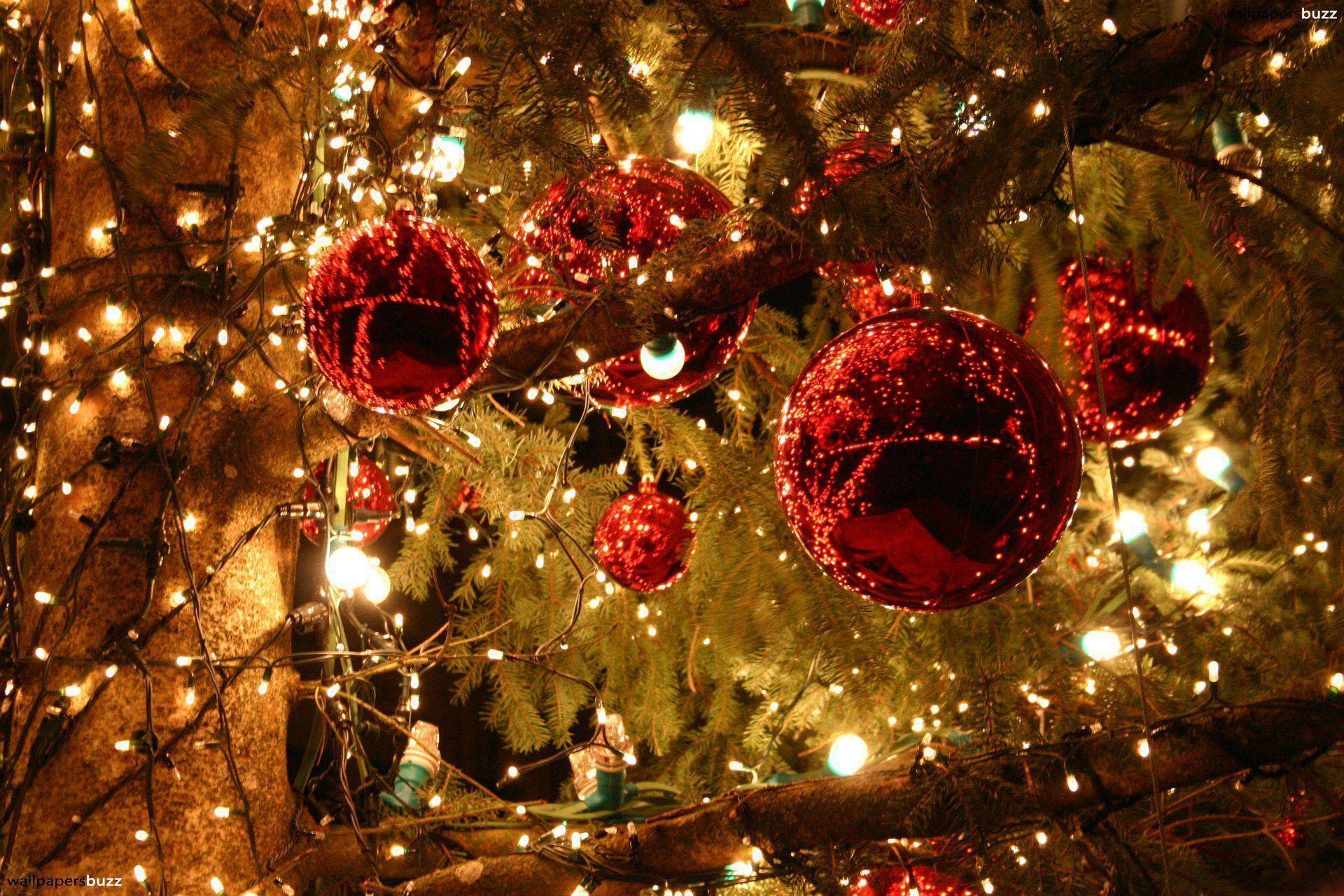 1920x1280 Download Christmas Lights Wallpaper, HD Background Download
