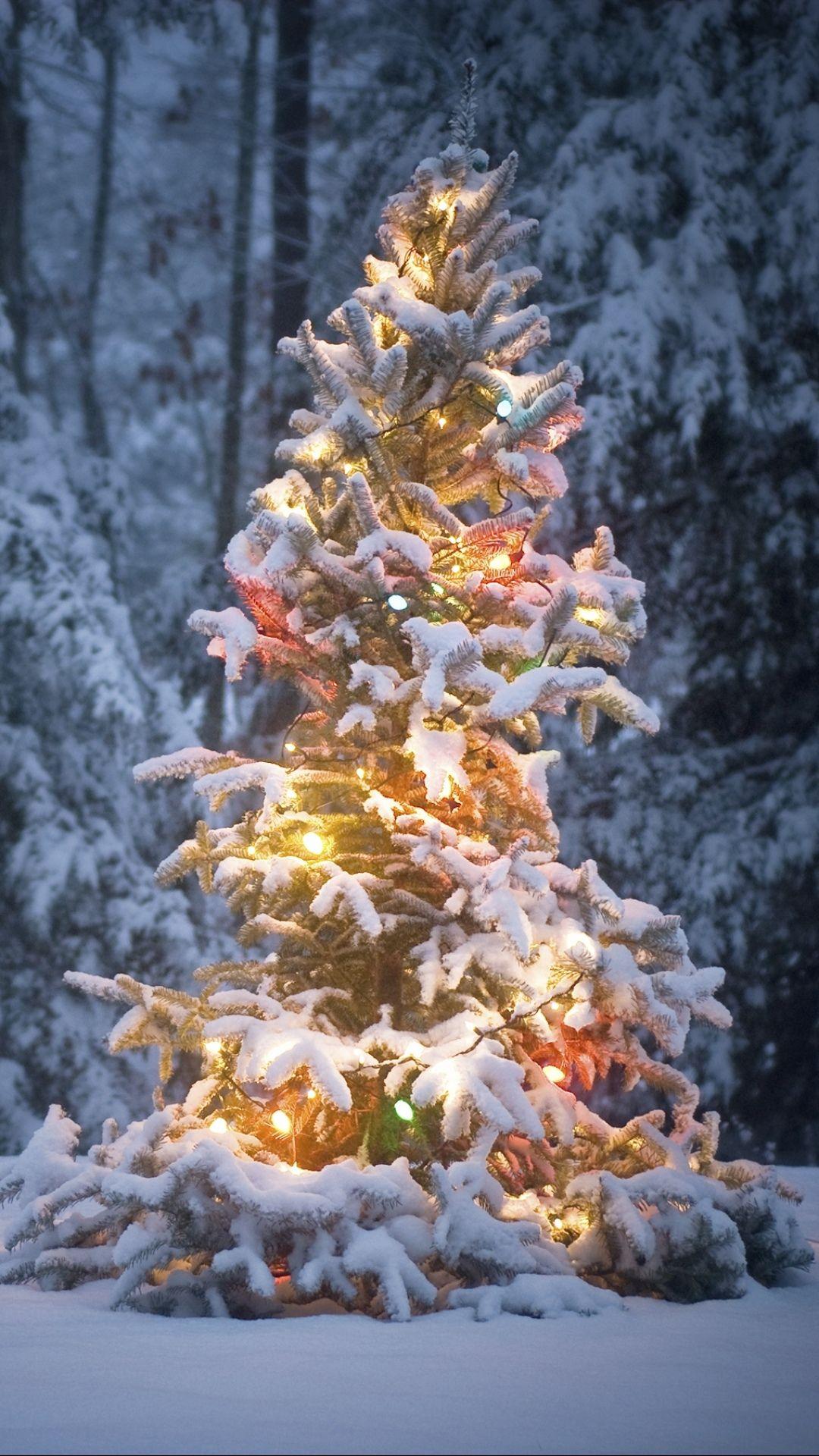 1080x1920 Winter Lights iPhone Wallpaper .
