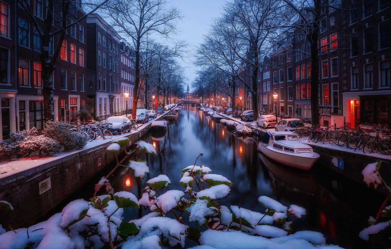 1332x850 Winter Lights Wallpaper