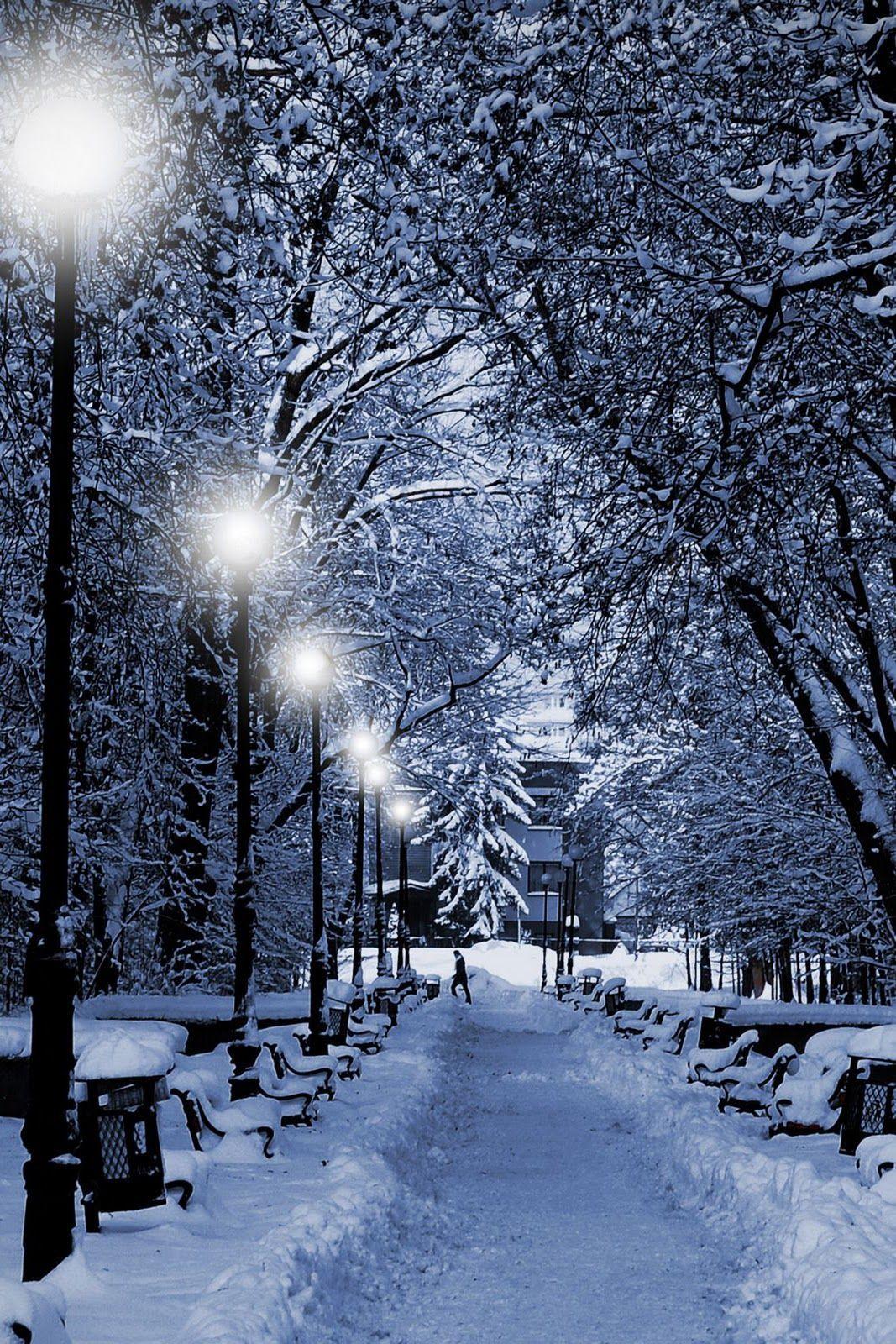 1067x1600 Winter Phone Background