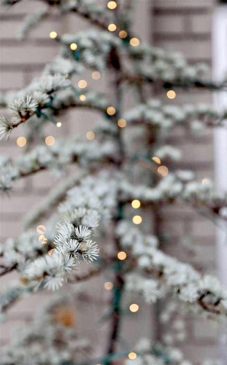 750x1202 Country Christmas. Christmas lockscreen, Wallpaper iphone christmas, Christmas phone wallpaper