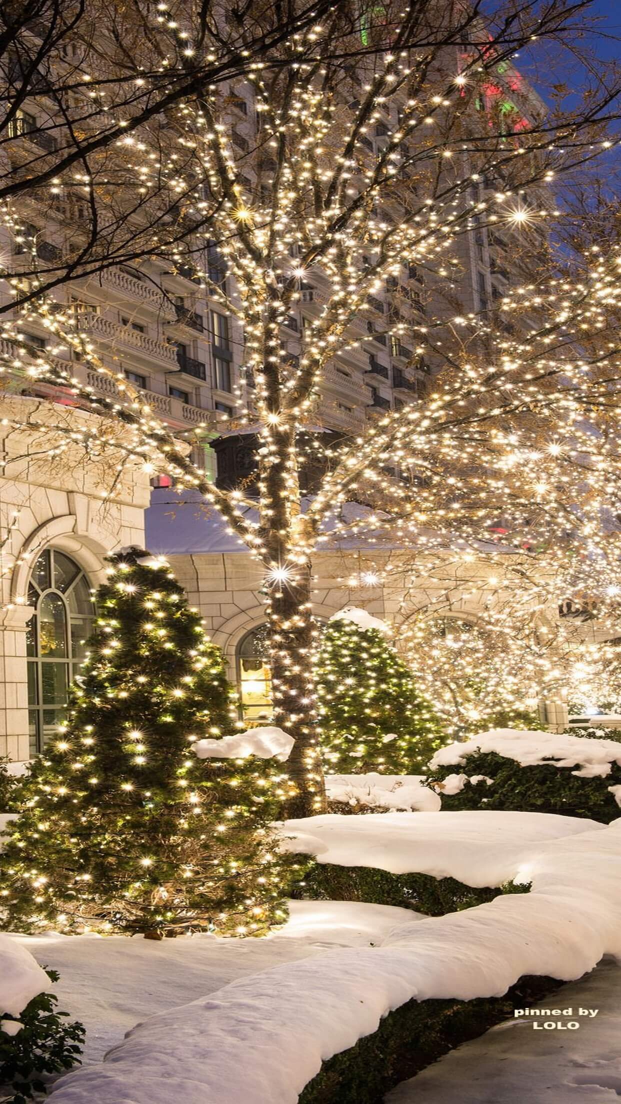 1242x2208 Try to Use 32 Christmas Wallpaper for iPhones